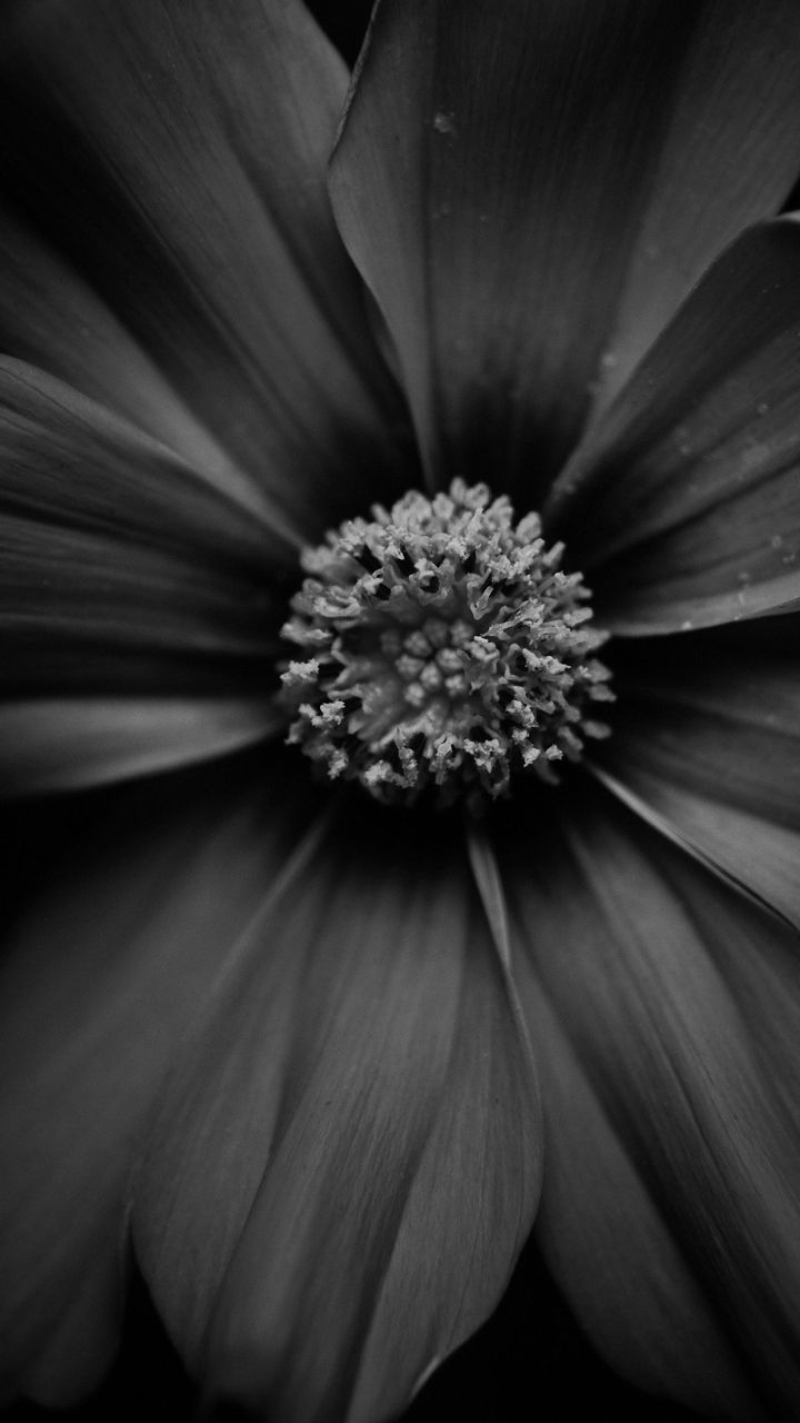 Lenovo Mobile Wallpaper - Wallpaper - HD Wallpaper 