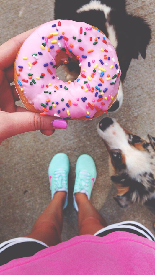 Donuts And Dogs - HD Wallpaper 