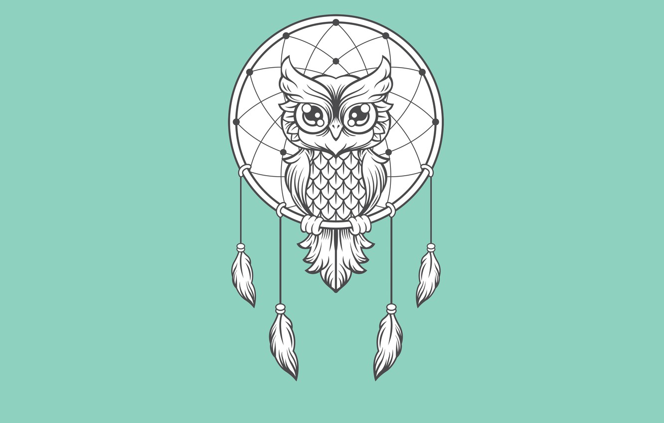 Photo Wallpaper Owl, Bird, Minimalism, Light Background, - Owl Dream Catcher Clipart - HD Wallpaper 
