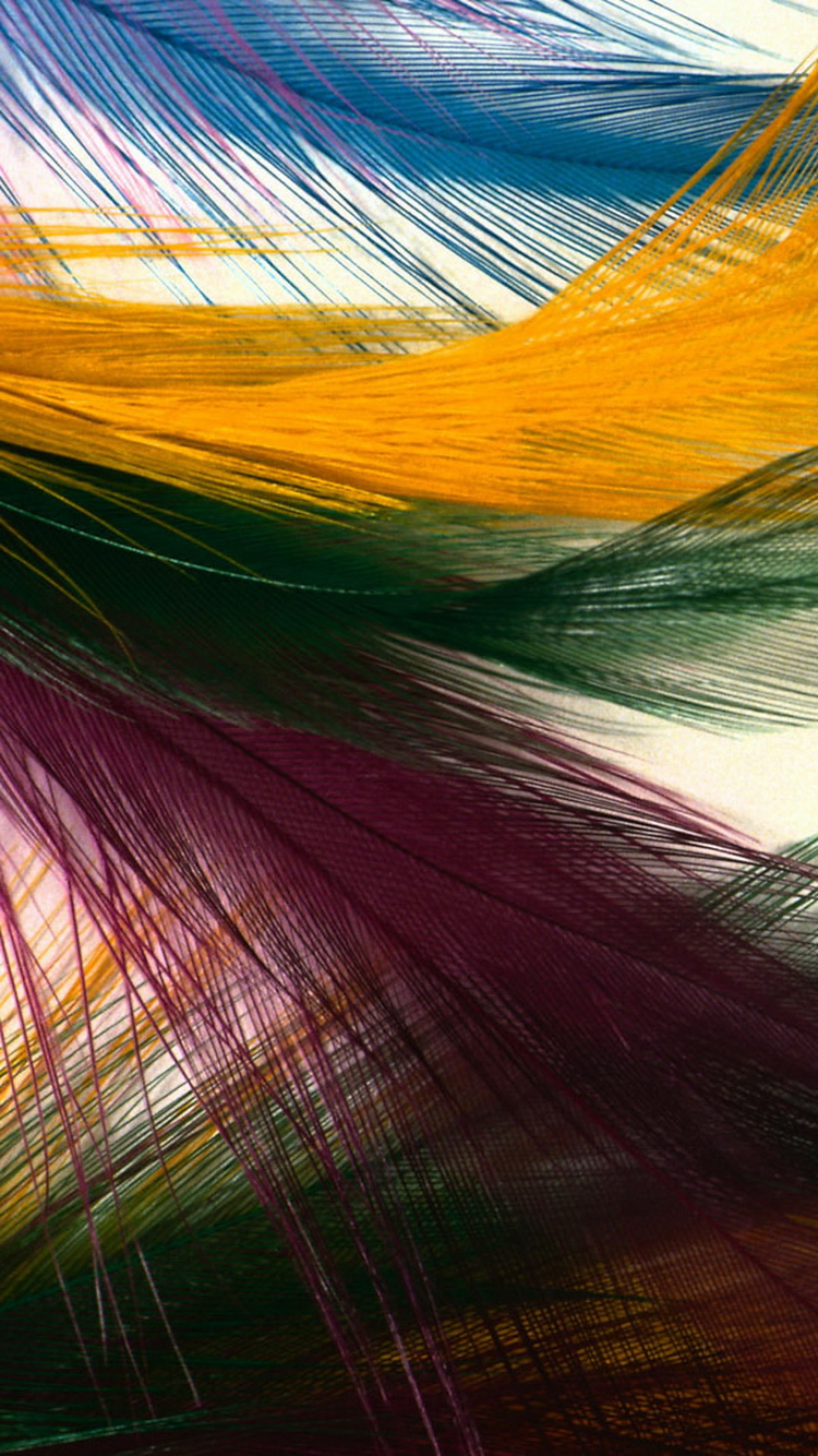 Colorful Feather Images Hd - HD Wallpaper 