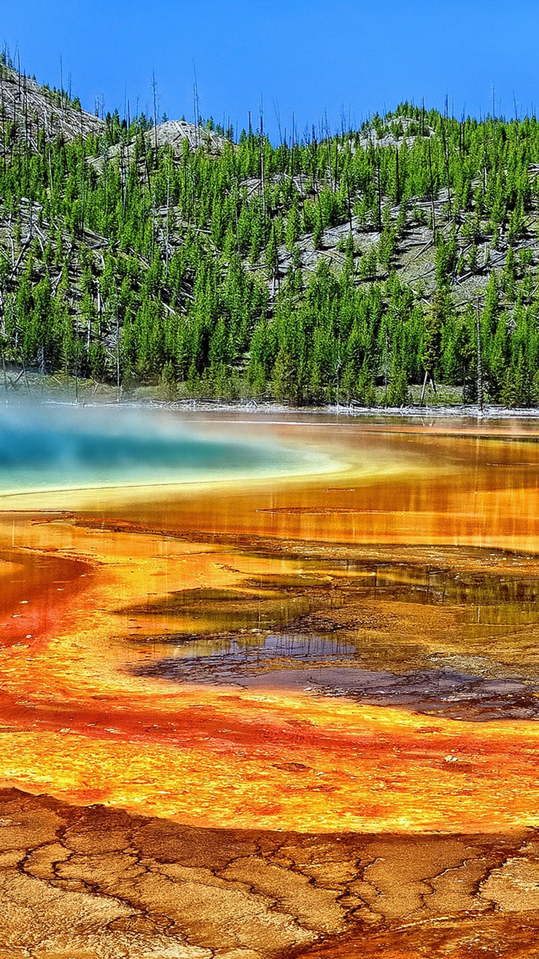 Yellowstone National Park - HD Wallpaper 