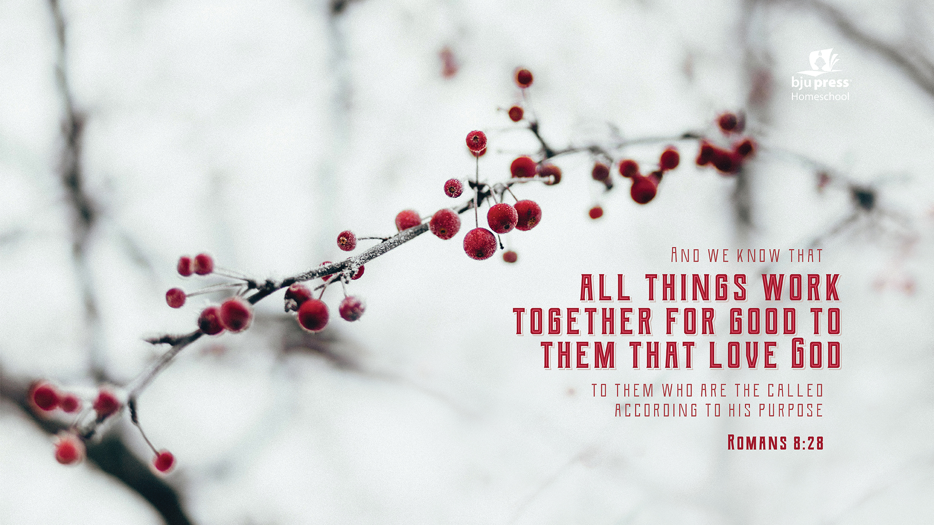 Winter Wonderland Wallpaper Desktop Winter Scenes - HD Wallpaper 