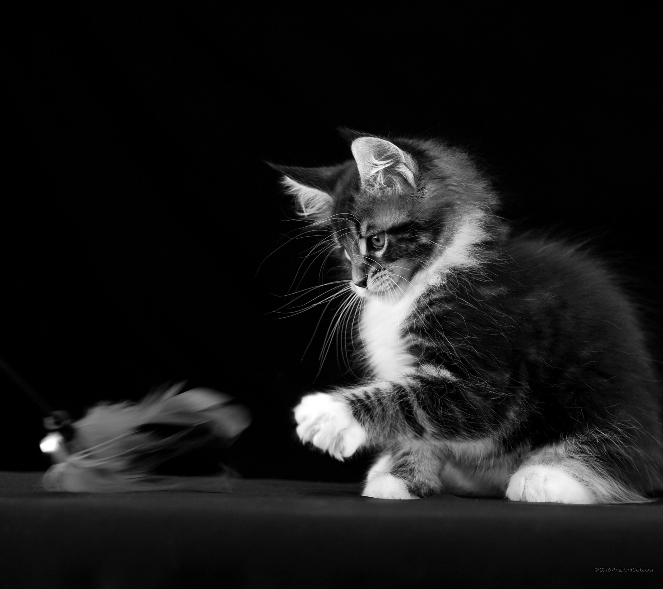 Full Size Wallpapers For - Fond D Écran Samsung A5 2017 - HD Wallpaper 