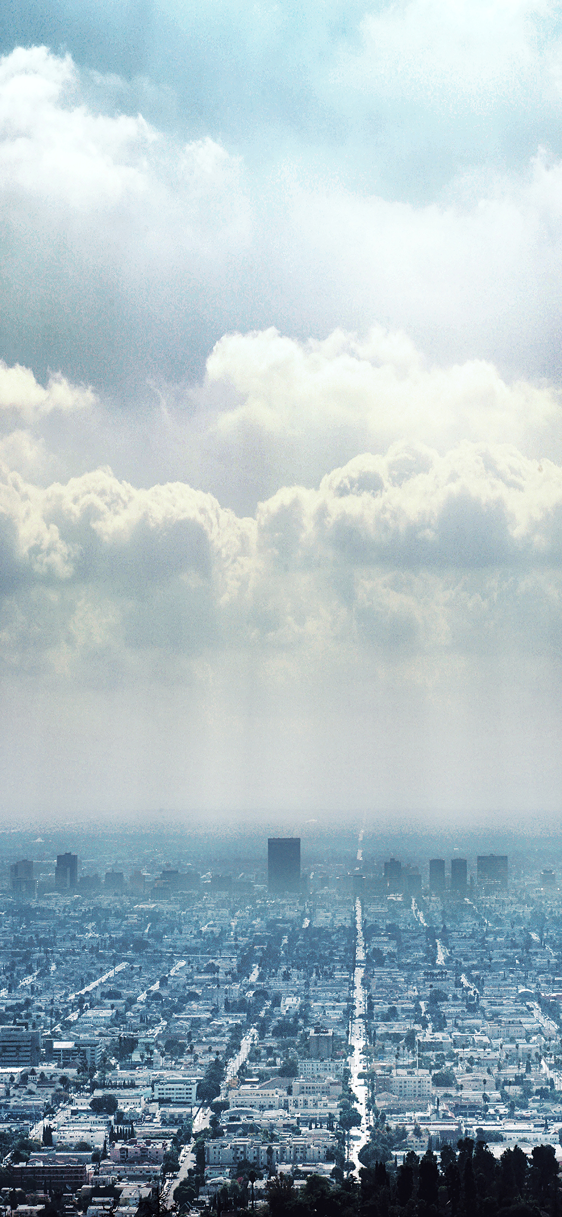 Los Angeles - HD Wallpaper 