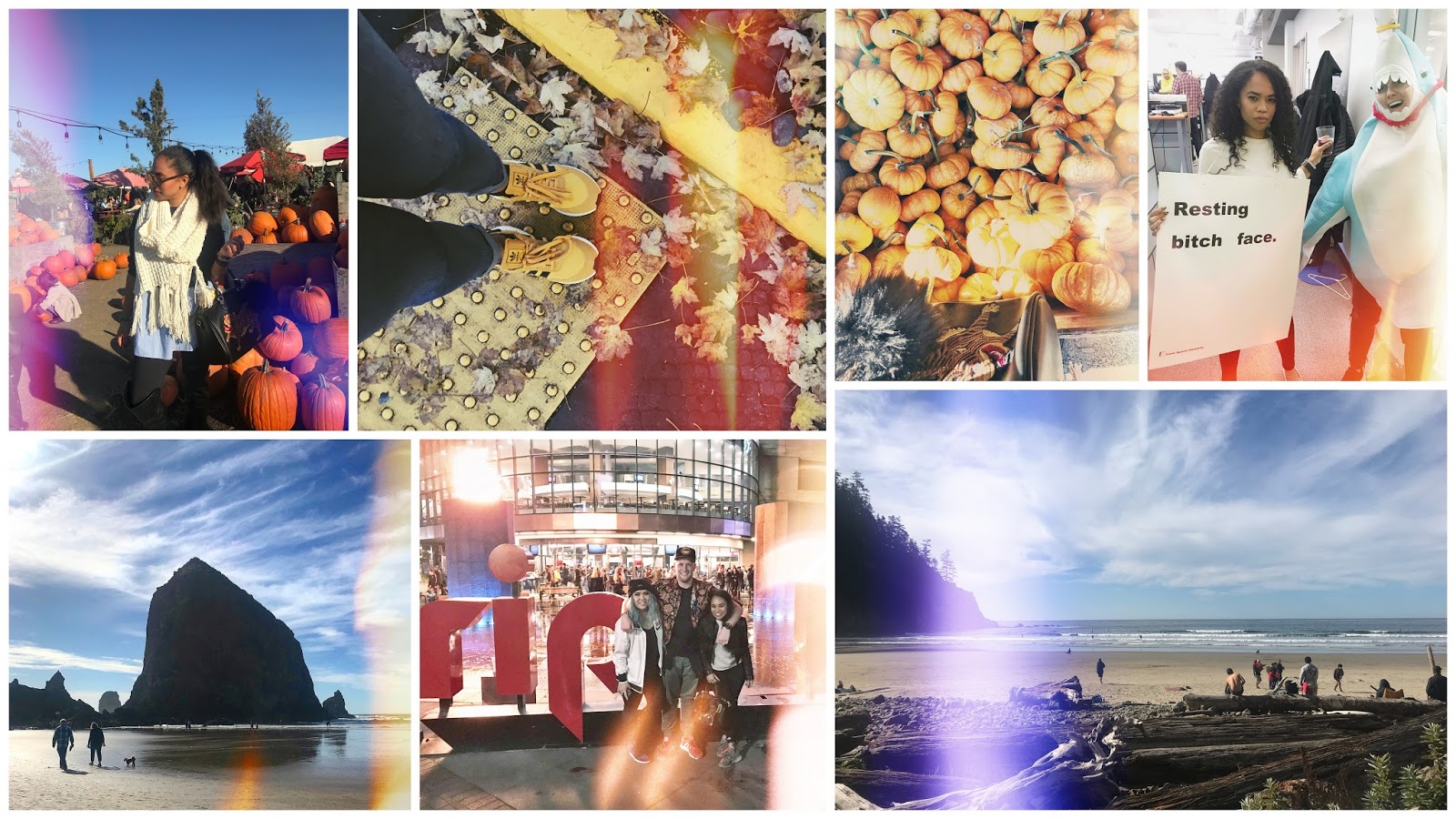 Collage - HD Wallpaper 