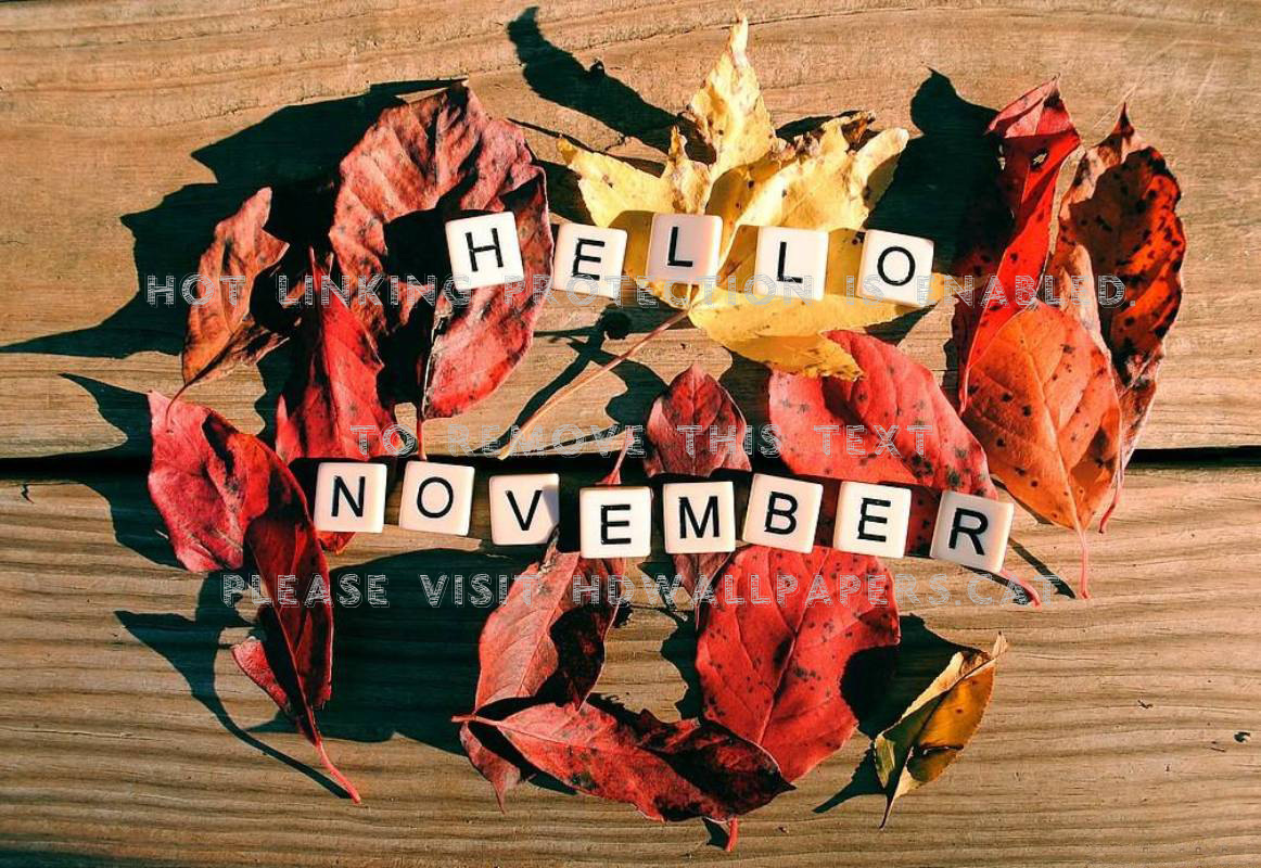 Hello November Leaves Photography Autumn - Love November - HD Wallpaper 