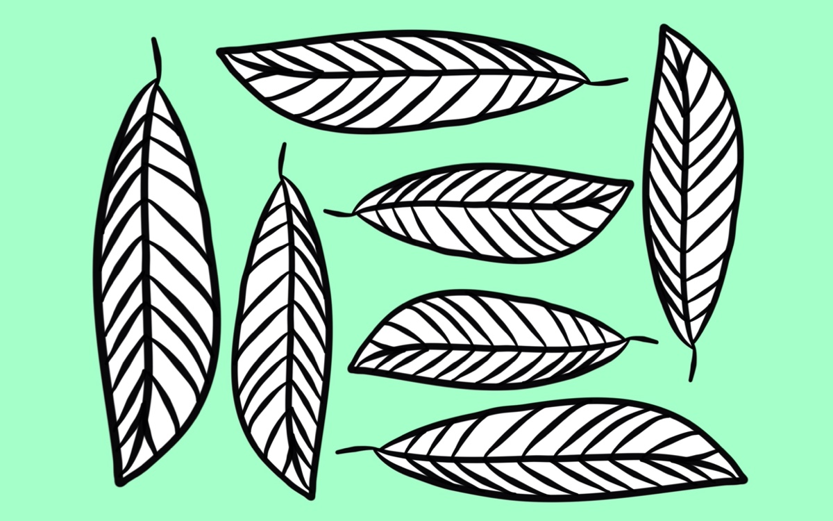 Old West Boots Logo - HD Wallpaper 