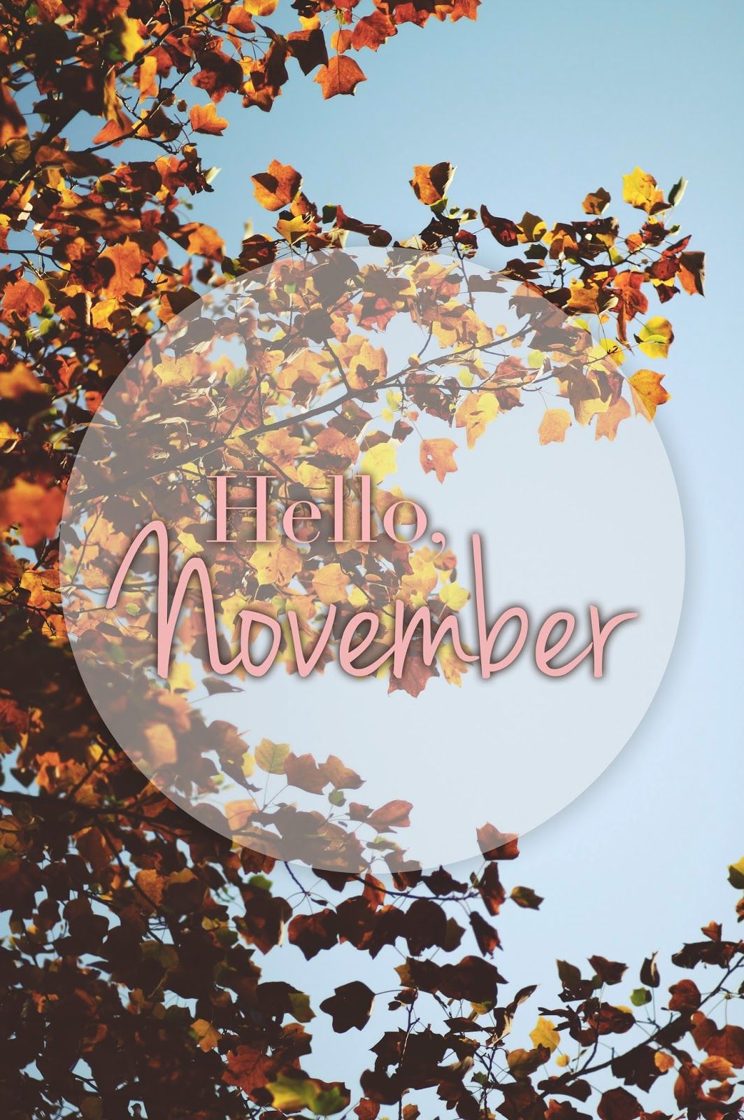 Hello November Baby - HD Wallpaper 