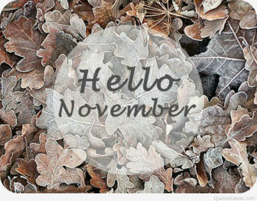 Hello November 1st Of November Quotes 900x707 Wallpaper Teahub Io