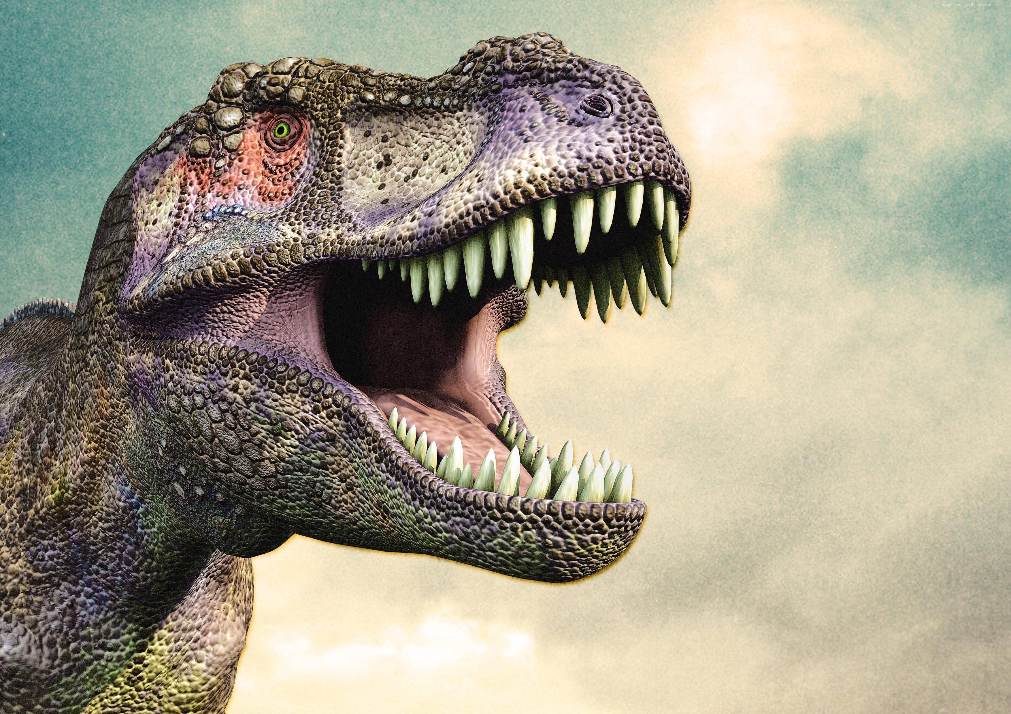 T Rex Dinosaur Wallpaper Hd - HD Wallpaper 