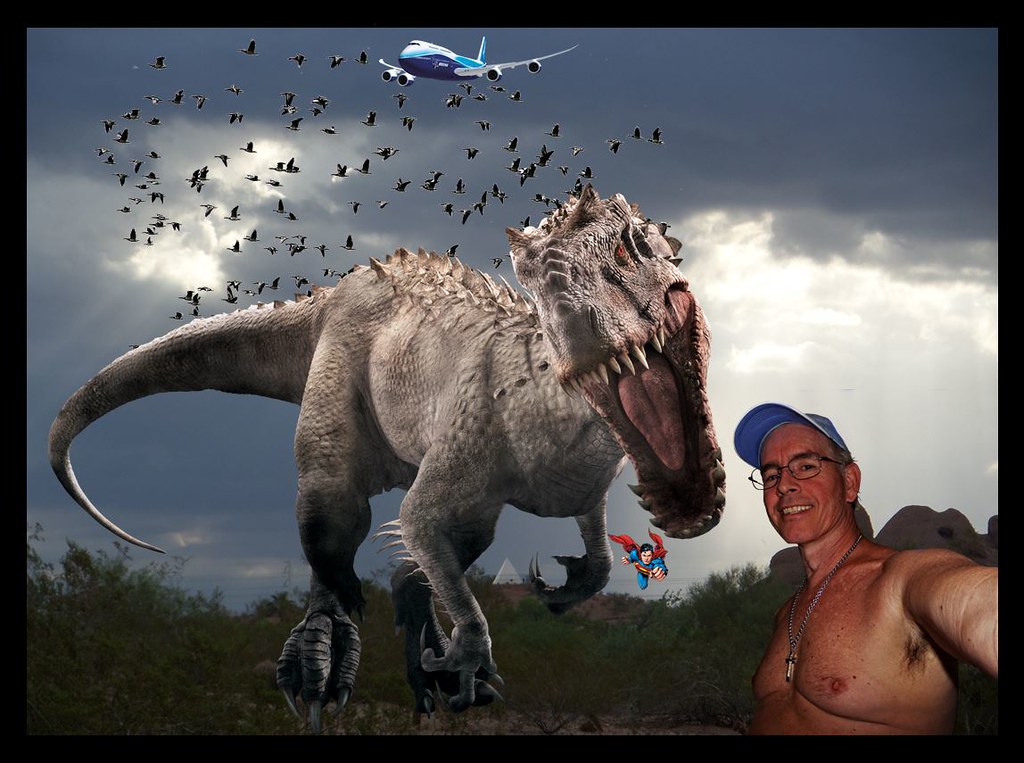 Tyrannosaurus - HD Wallpaper 