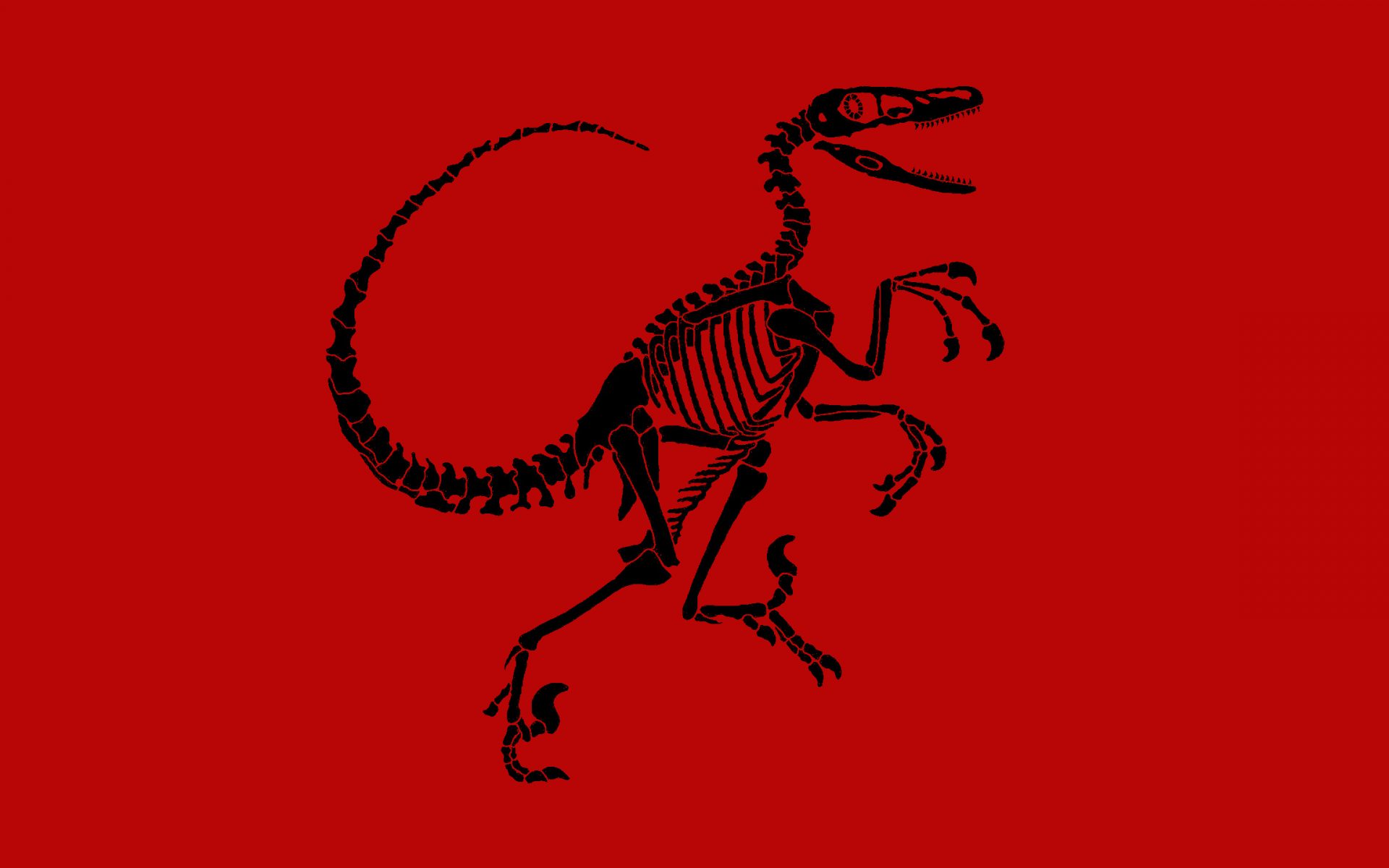 Velociraptor Cover - HD Wallpaper 