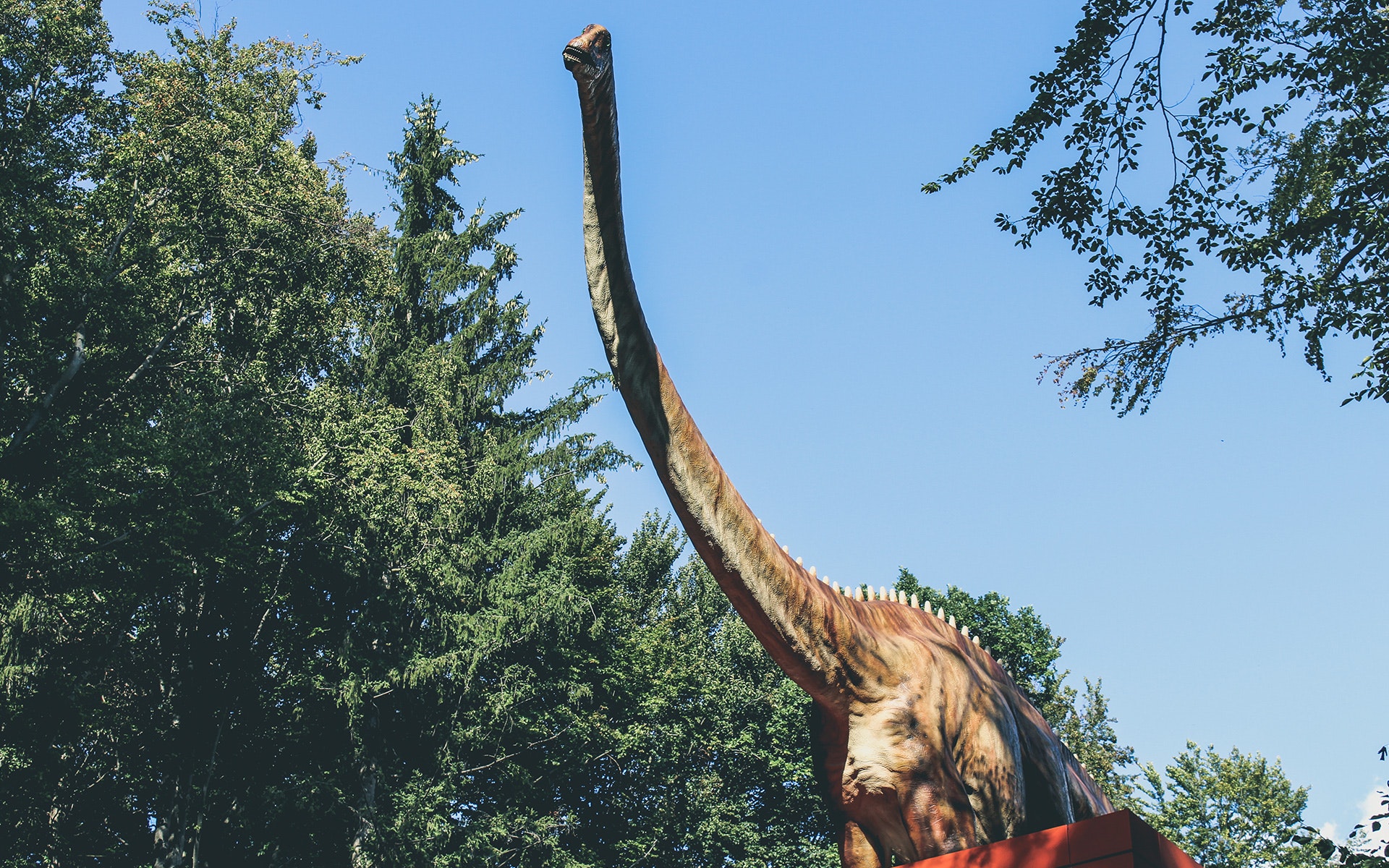 Top Dinosaur Games For Pc - HD Wallpaper 