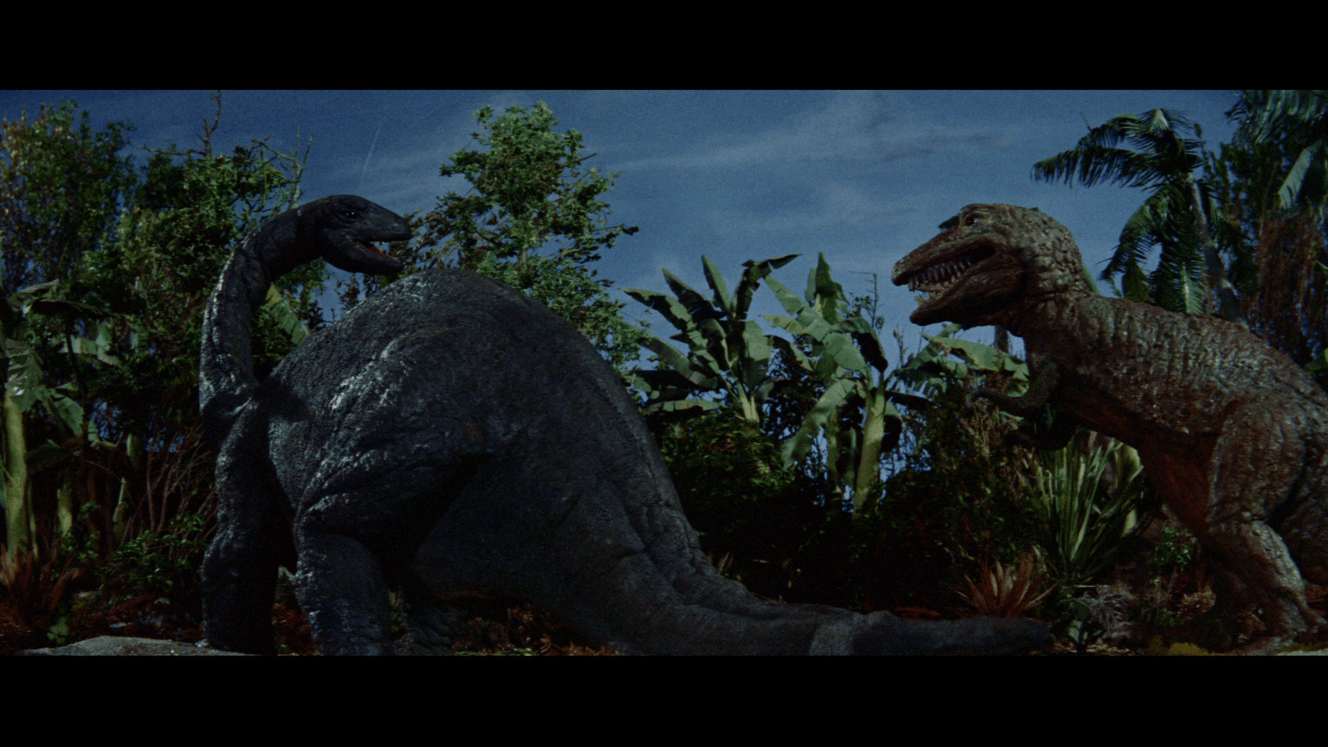 Tyrannosaurus - HD Wallpaper 