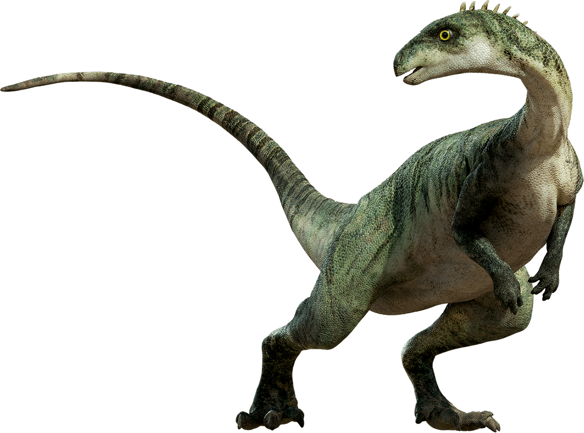 Dinosaur Png - Dinosaurs Transparent - HD Wallpaper 