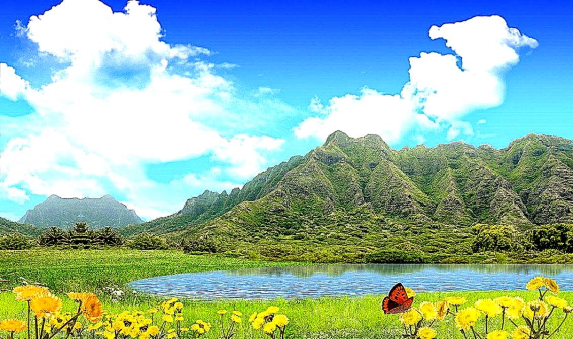 Screensavers Summer Scenery Wallpaper Best Free Hd - Water Trees Flowers Mountains - HD Wallpaper 