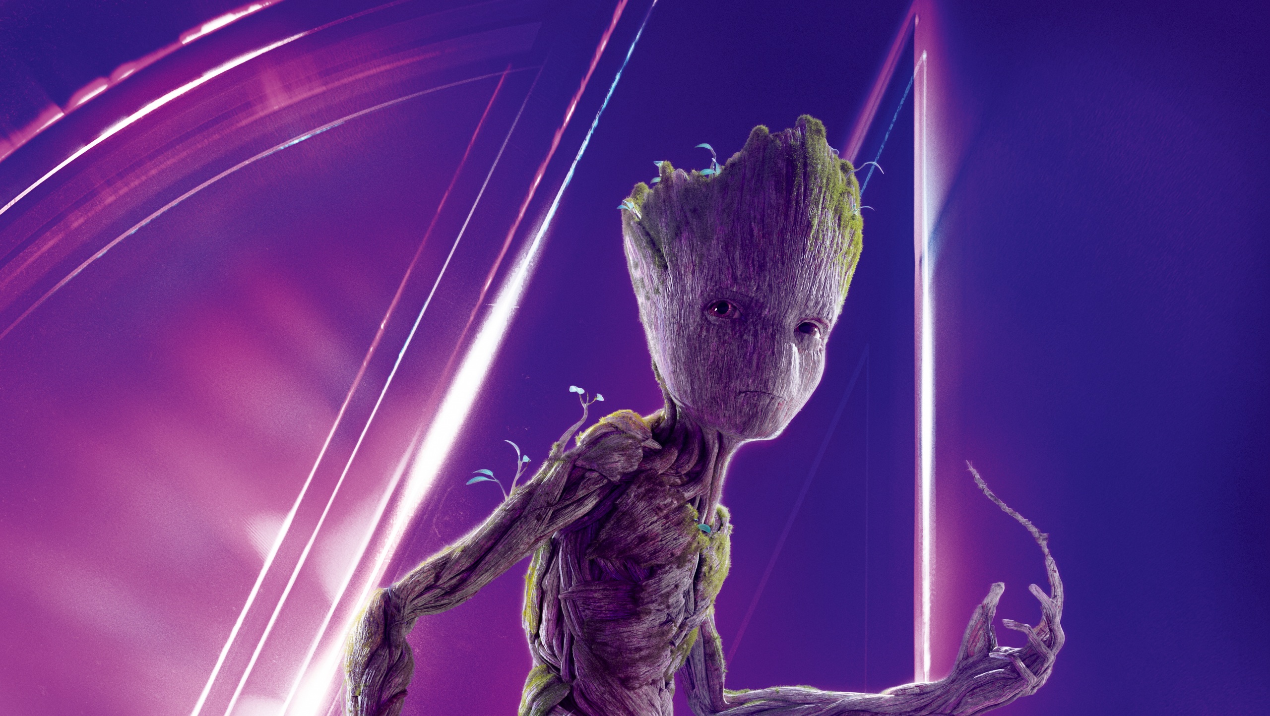 Avengers Infinity War Groot Poster - HD Wallpaper 