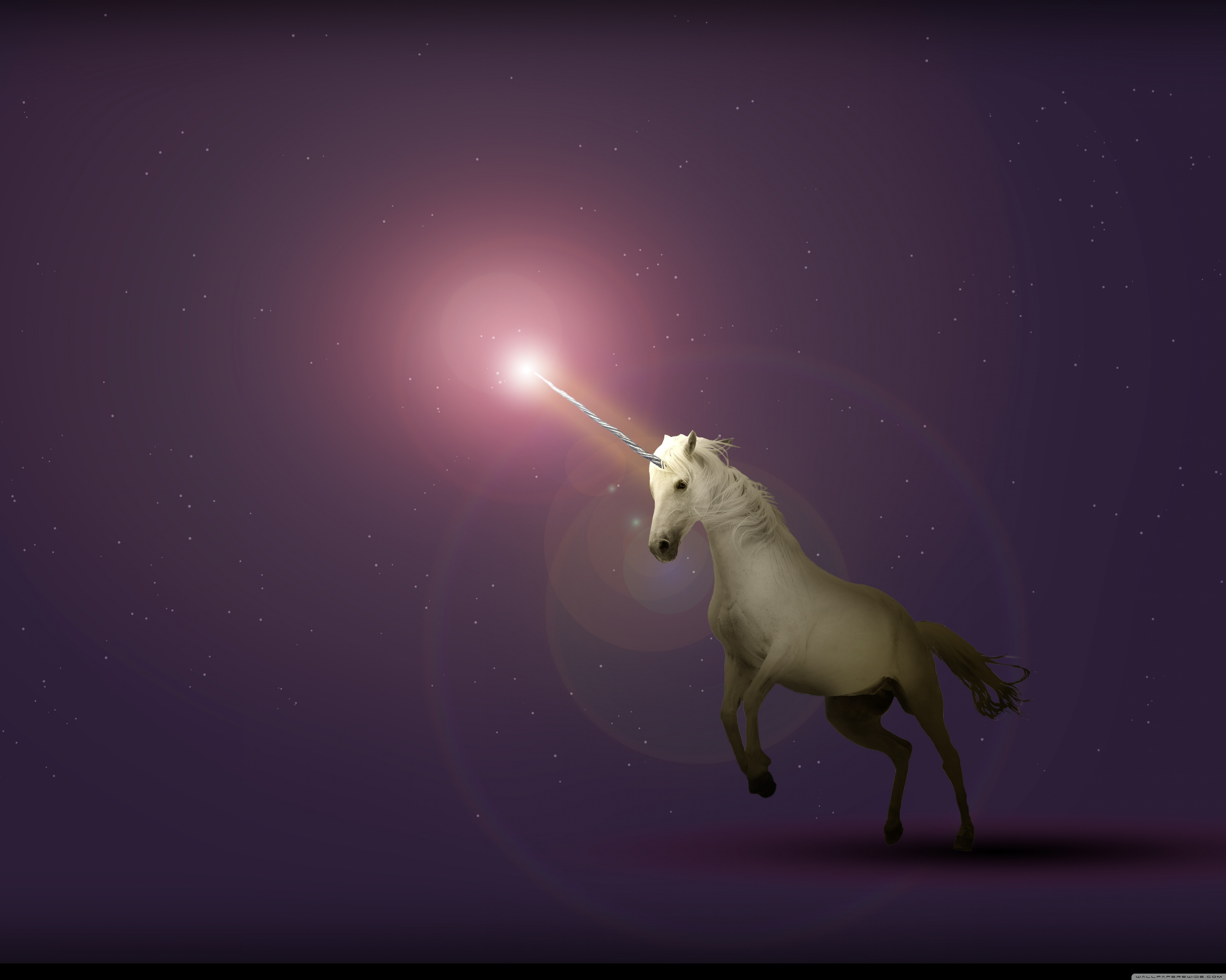 1280 X 1024 Unicorn - HD Wallpaper 