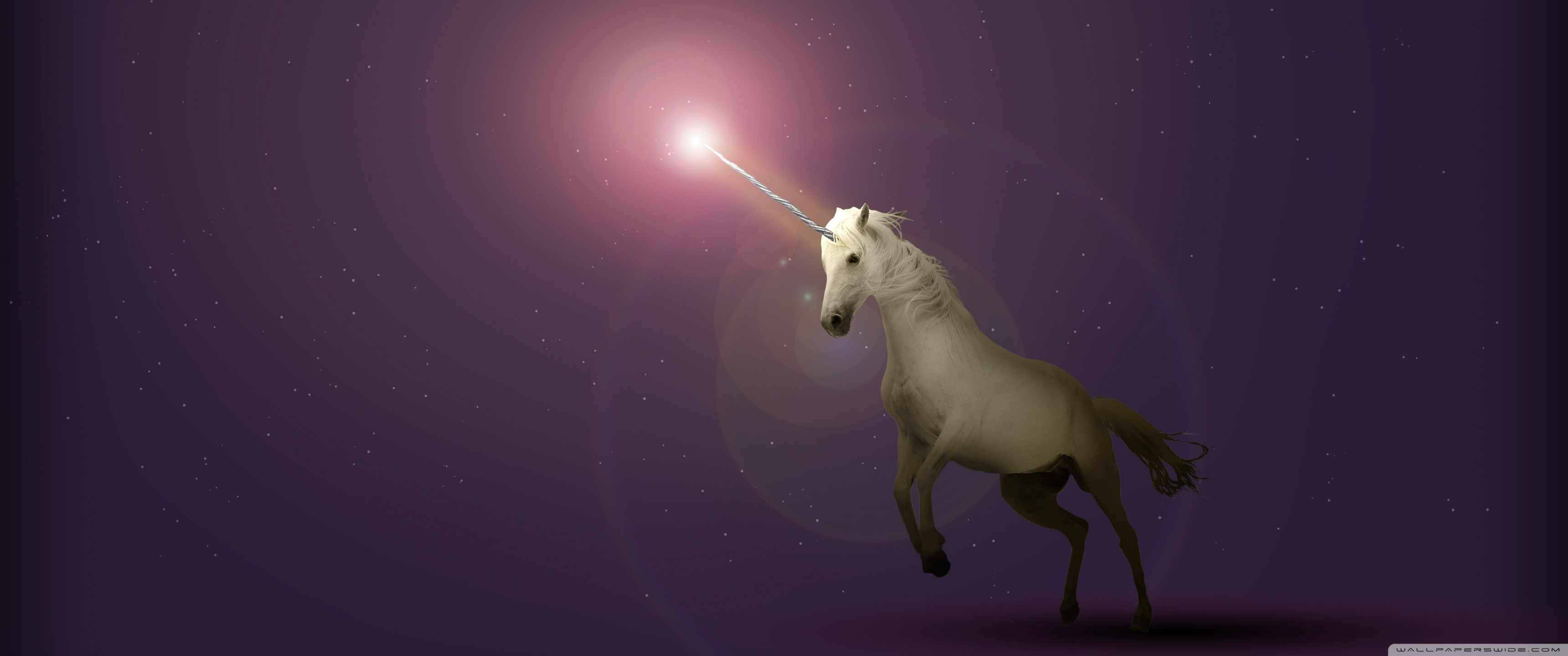 Unicorn - HD Wallpaper 