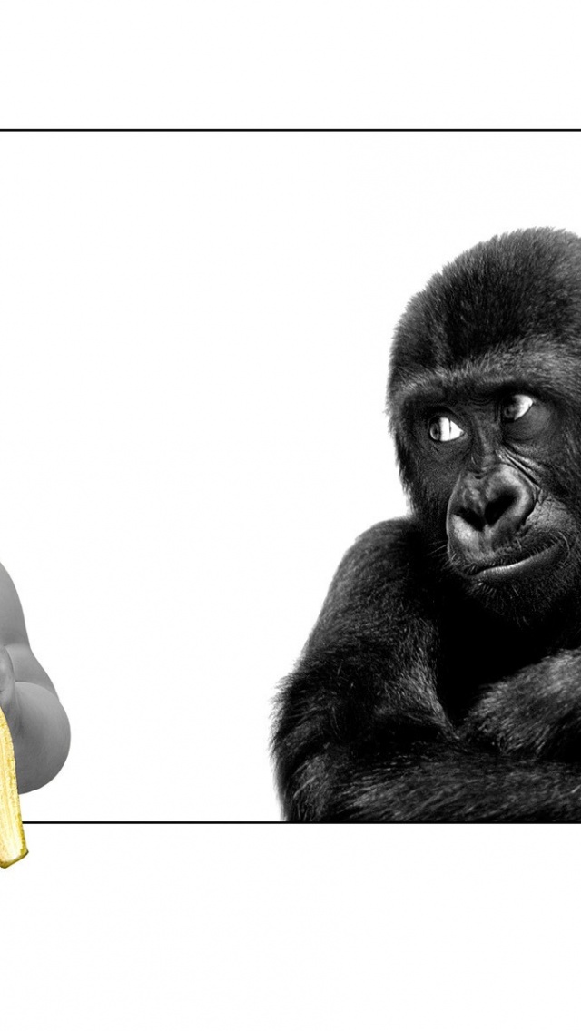 Friends Understand Each Other - HD Wallpaper 