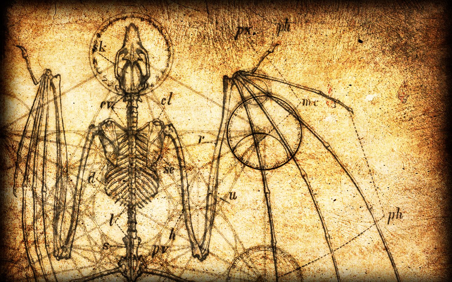 Steampunk Wallpaper 10 Pieces Of Steampunk Room Decor - HD Wallpaper 