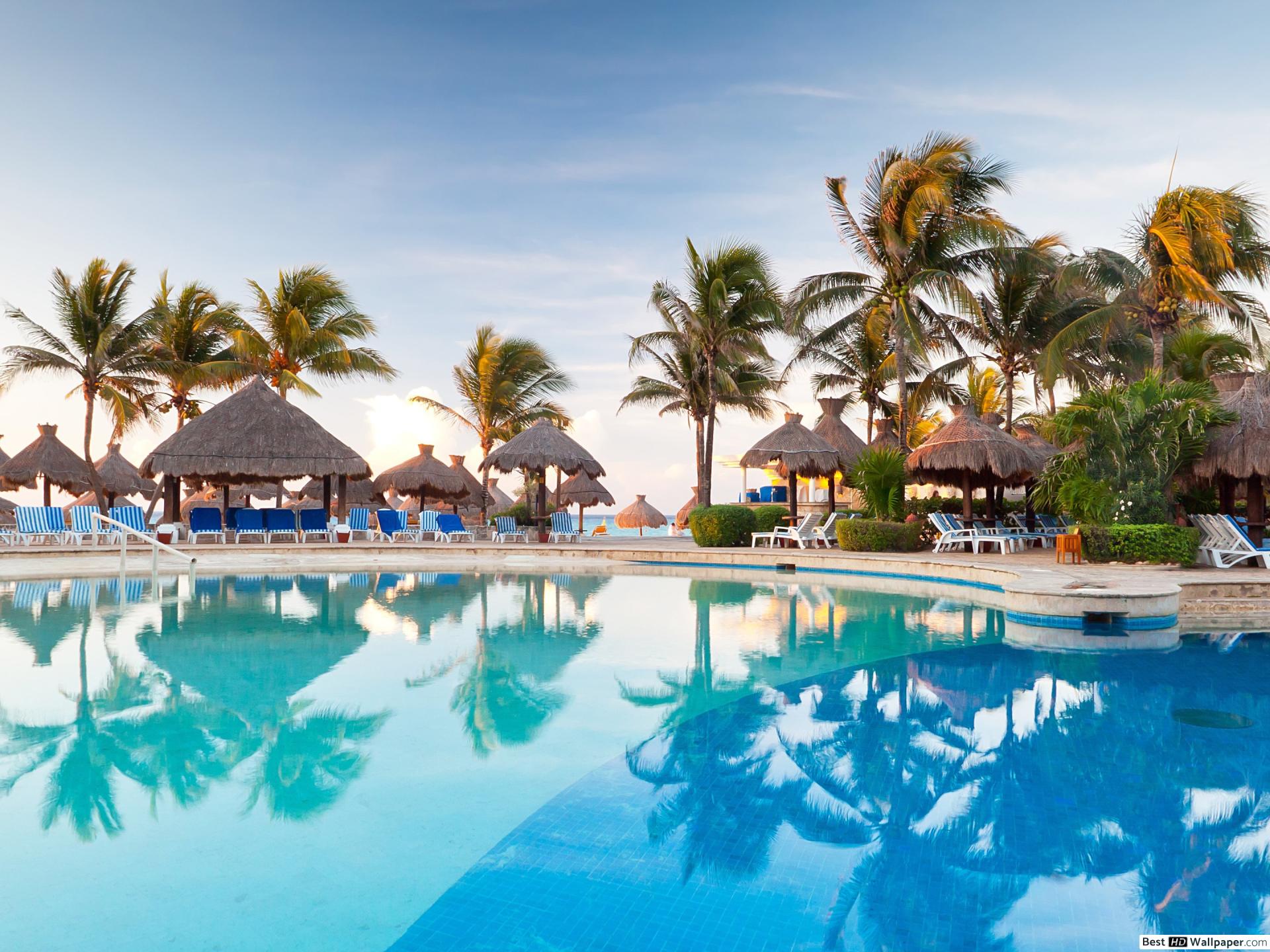 Iphone 7 Wallpaper Palm Trees - HD Wallpaper 