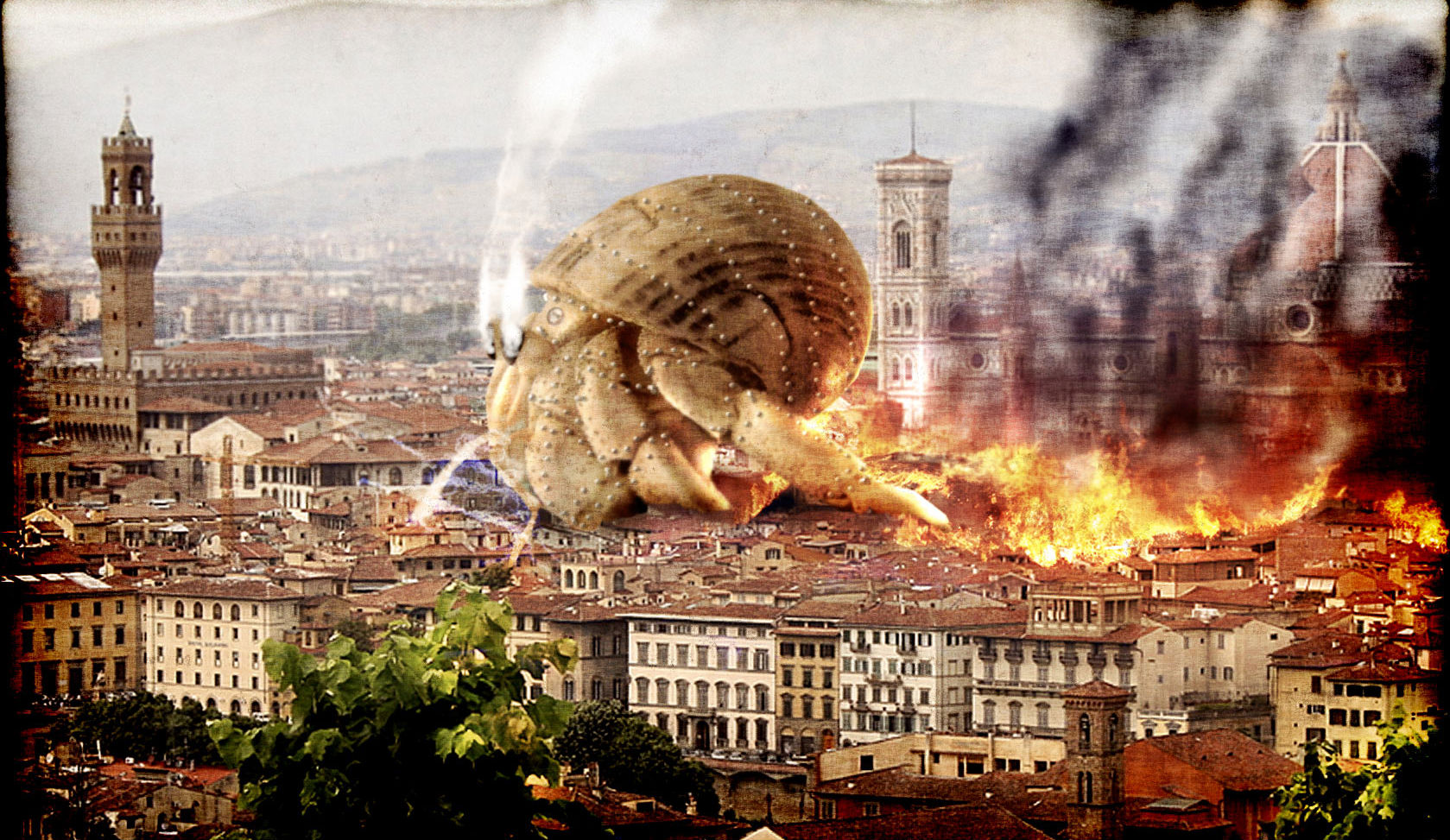 Florence - HD Wallpaper 