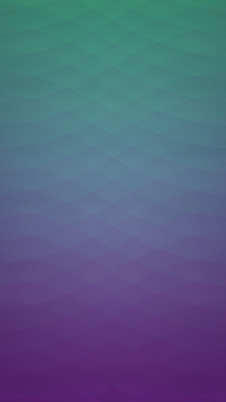 Lilac - HD Wallpaper 