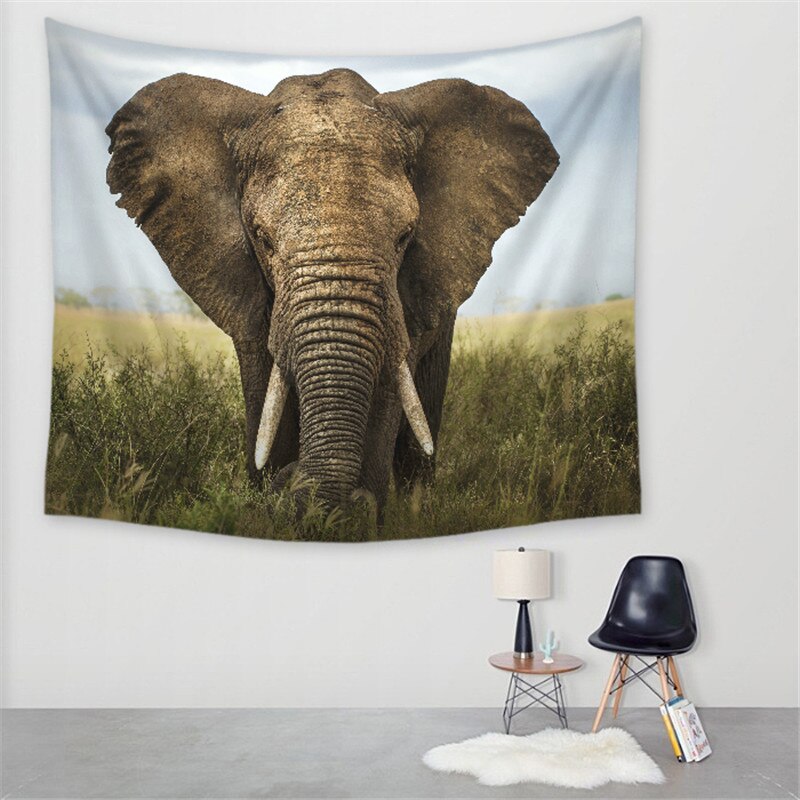 Wall Hanging Tapestry Australia 800x800 Wallpaper teahub.io