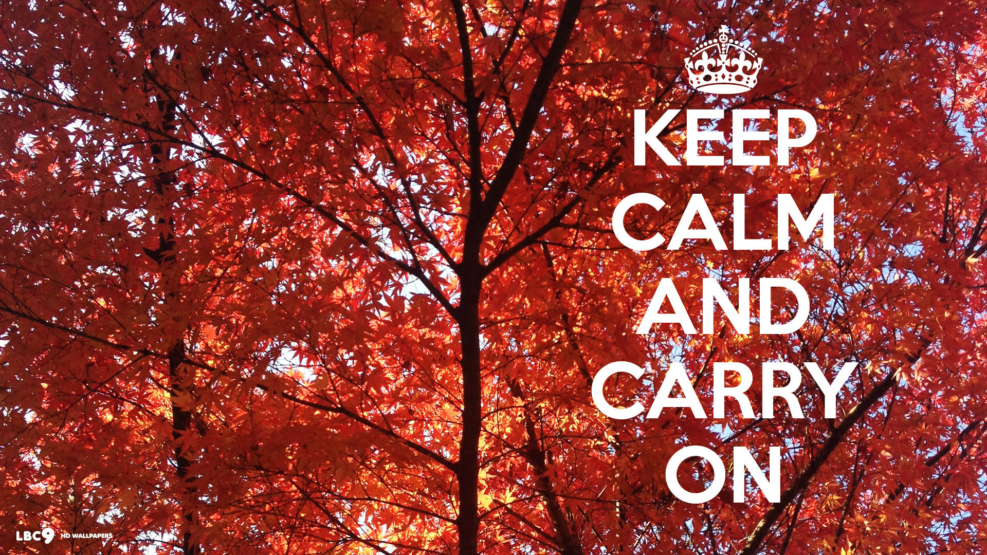 Keep Calm And Carry On Keep Calm And Carry On Typography - Keep Calm And  Princess - 1920x1080 Wallpaper 