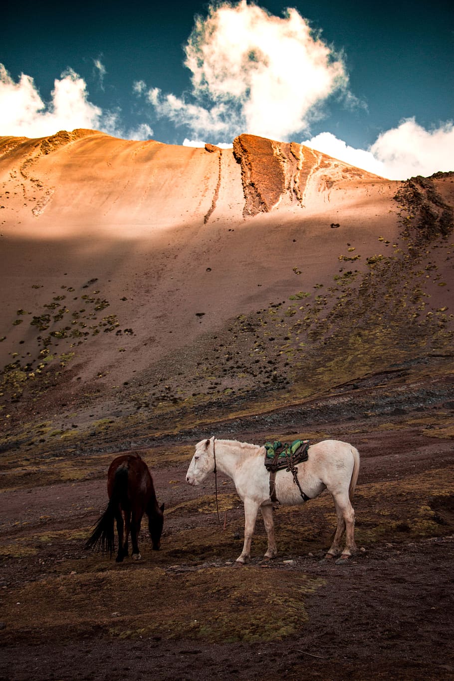 Peru, Cercado De Lima, Vinicunca Rainbow Mountain, - Mustang Horse - HD Wallpaper 