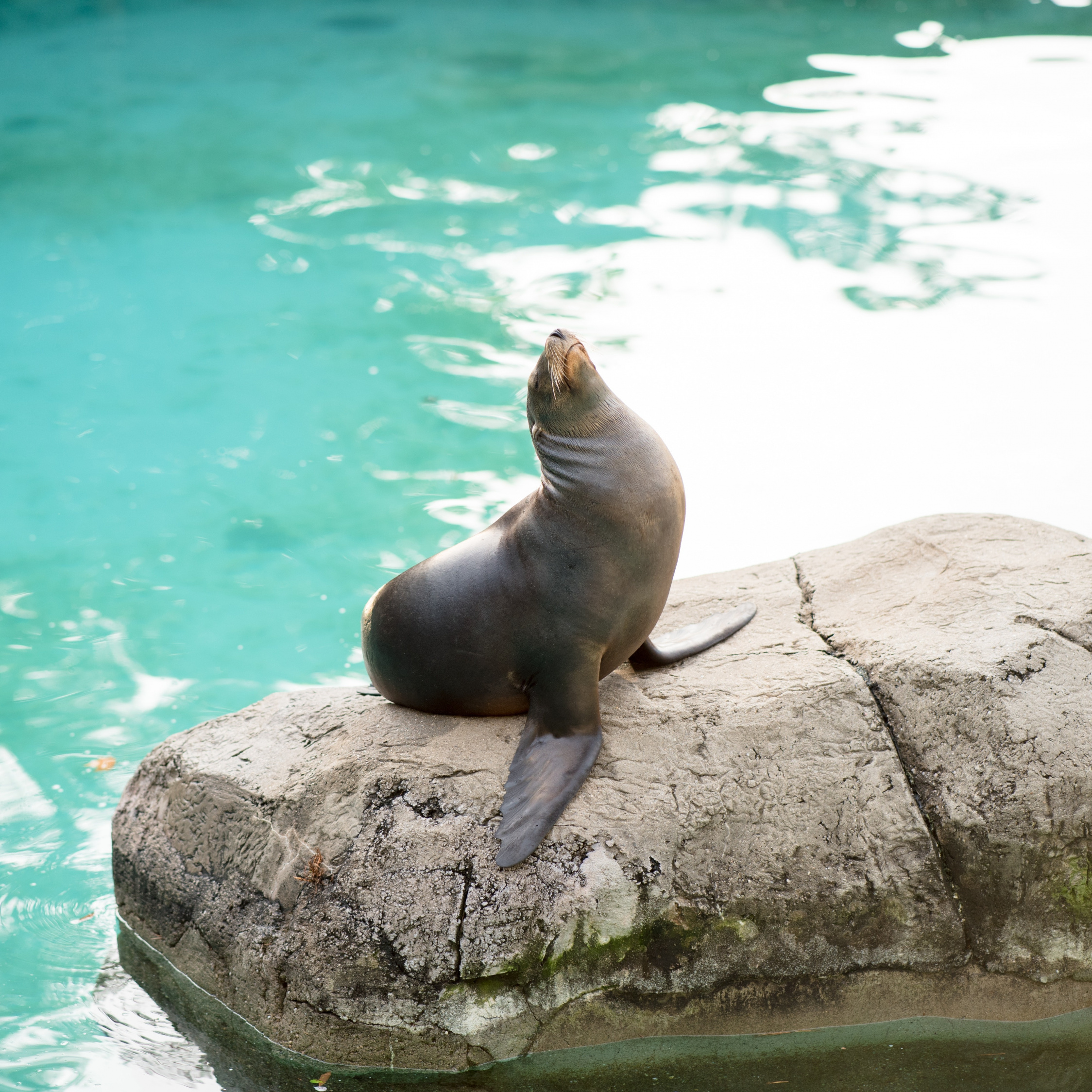 Mobile Phone - HD Wallpaper 