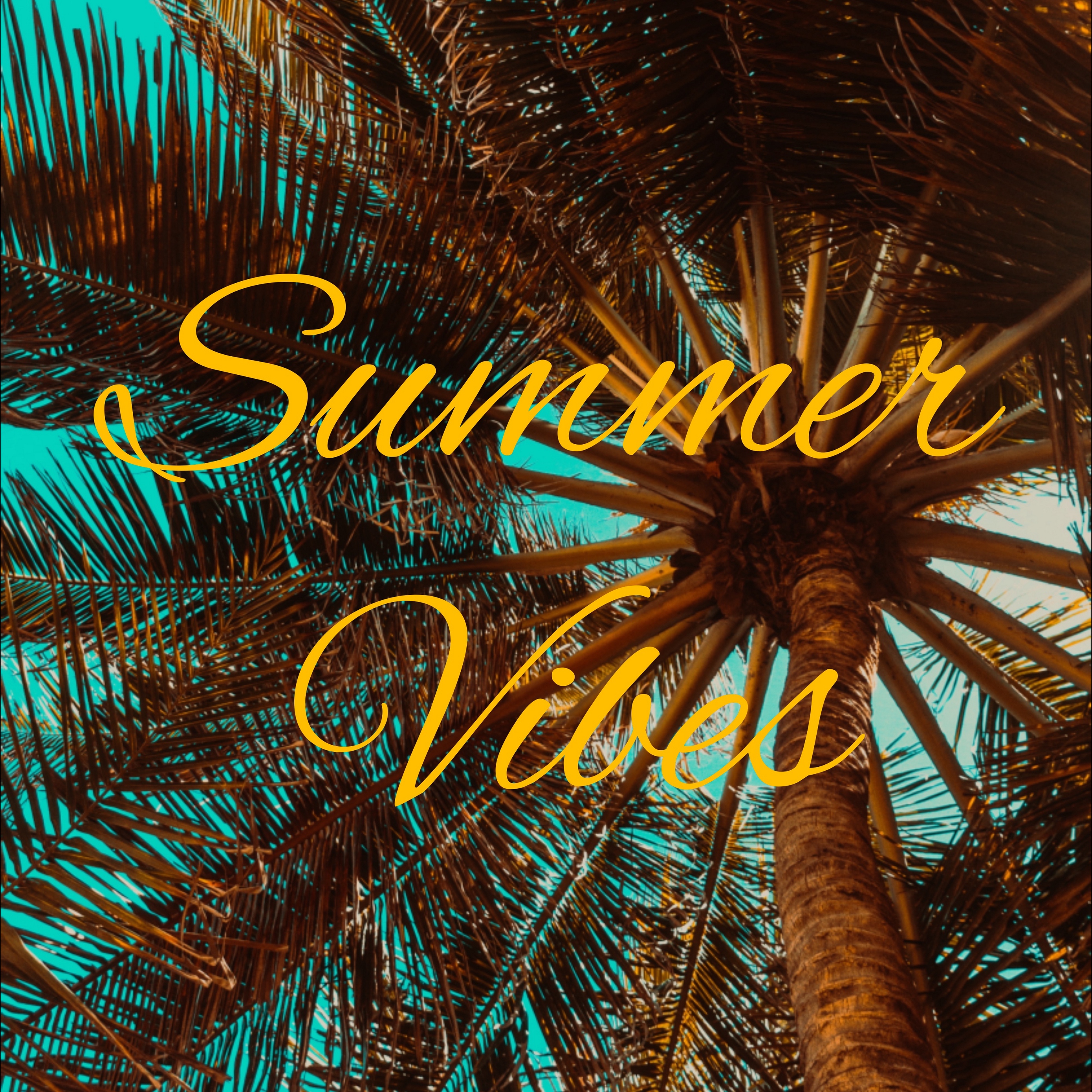 Wallpaper Summer, Vibes, Palm, Mood - Summer Wallpaper For Ipads - HD Wallpaper 