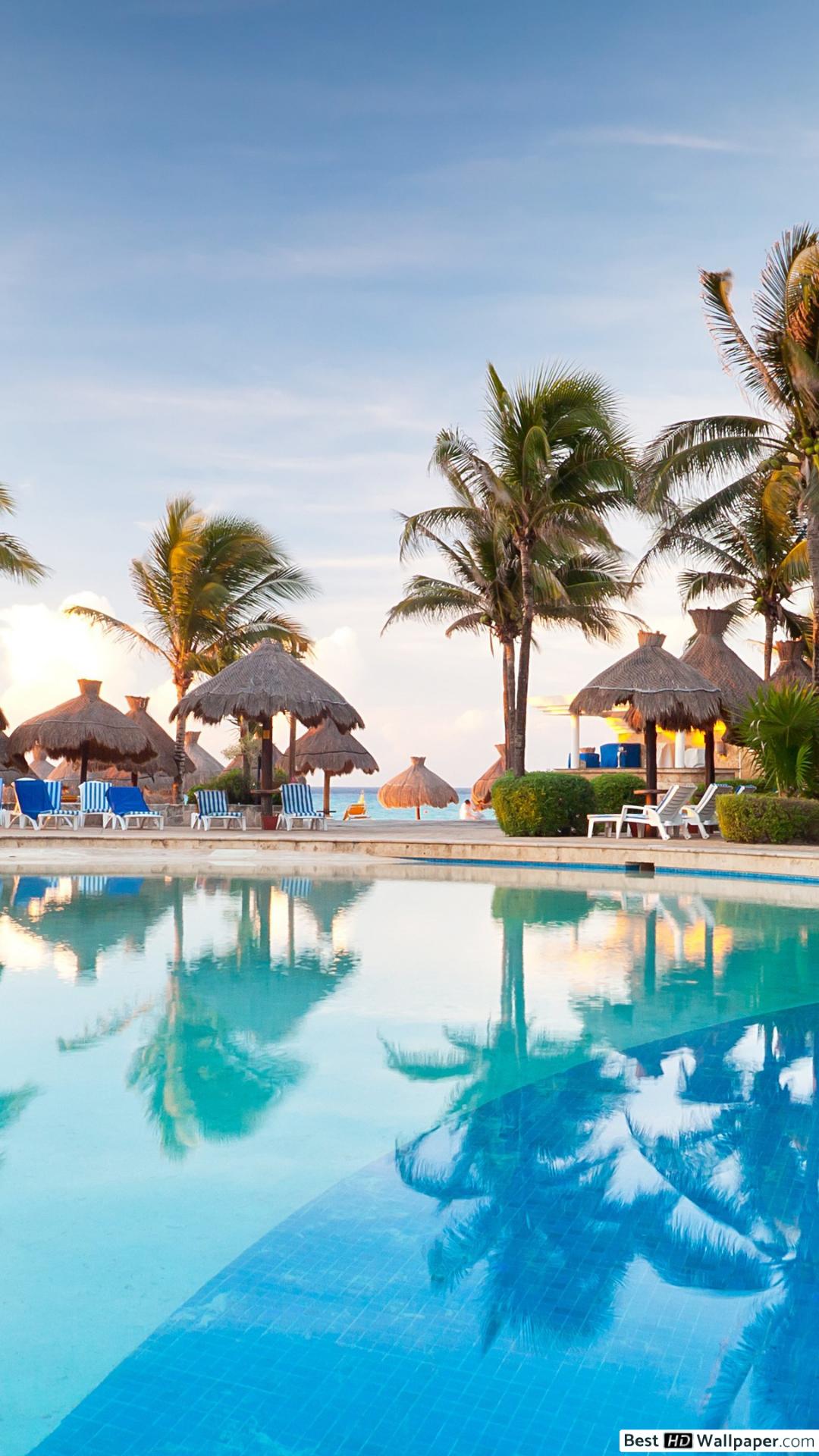 Iphone 7 Wallpaper Palm Trees - HD Wallpaper 