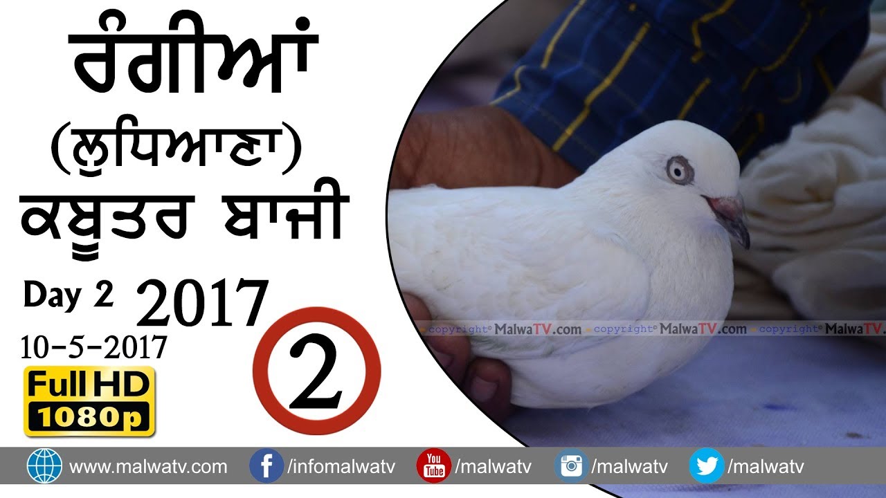 Kabootar Bazi Poster 2019 - HD Wallpaper 