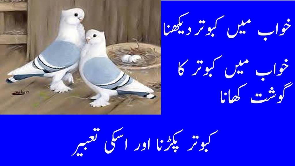 Romantic Adorable Love Birds - HD Wallpaper 
