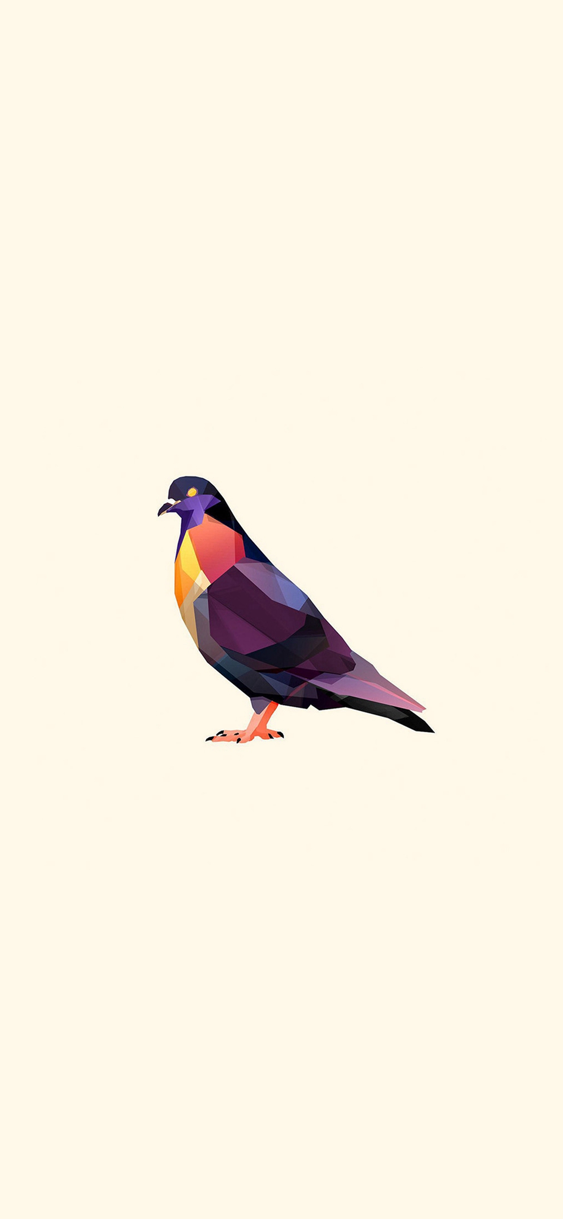 Minimal Pigeon - HD Wallpaper 
