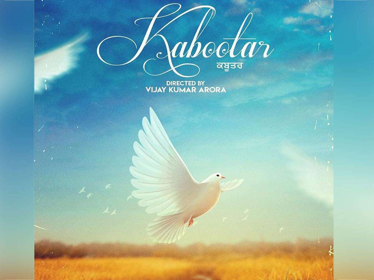 Details 300 kabutar photo background Abzlocal.mx