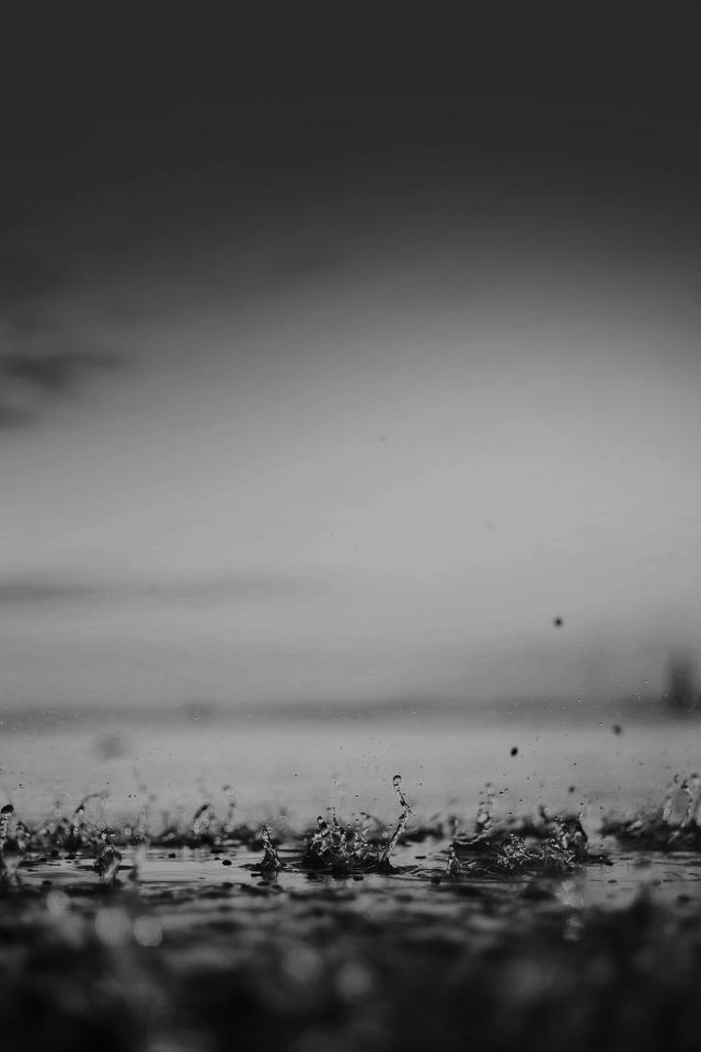 Rain Drop On Black Afternoon Nature Iphone Wallpaper - HD Wallpaper 
