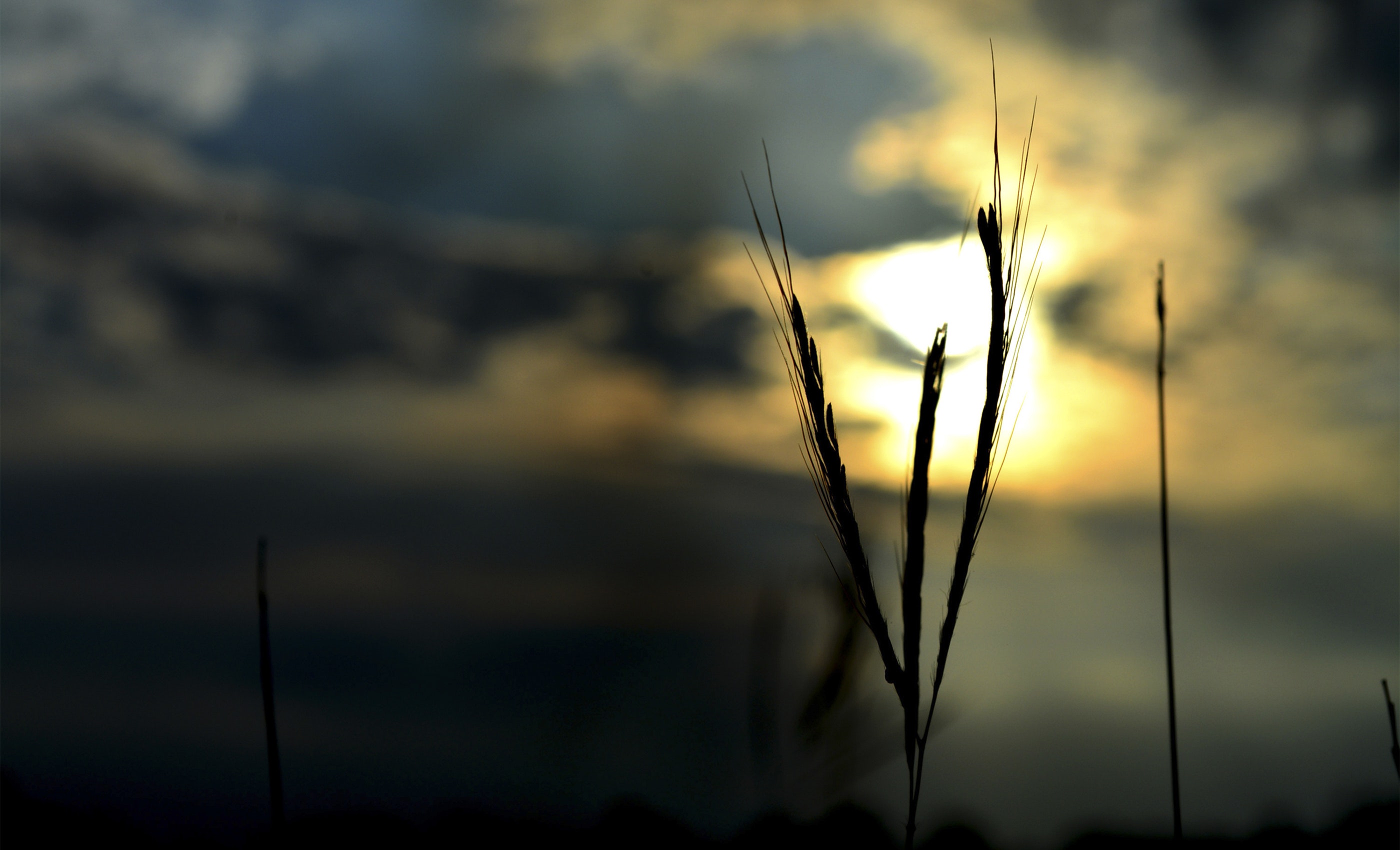 Sunset - HD Wallpaper 