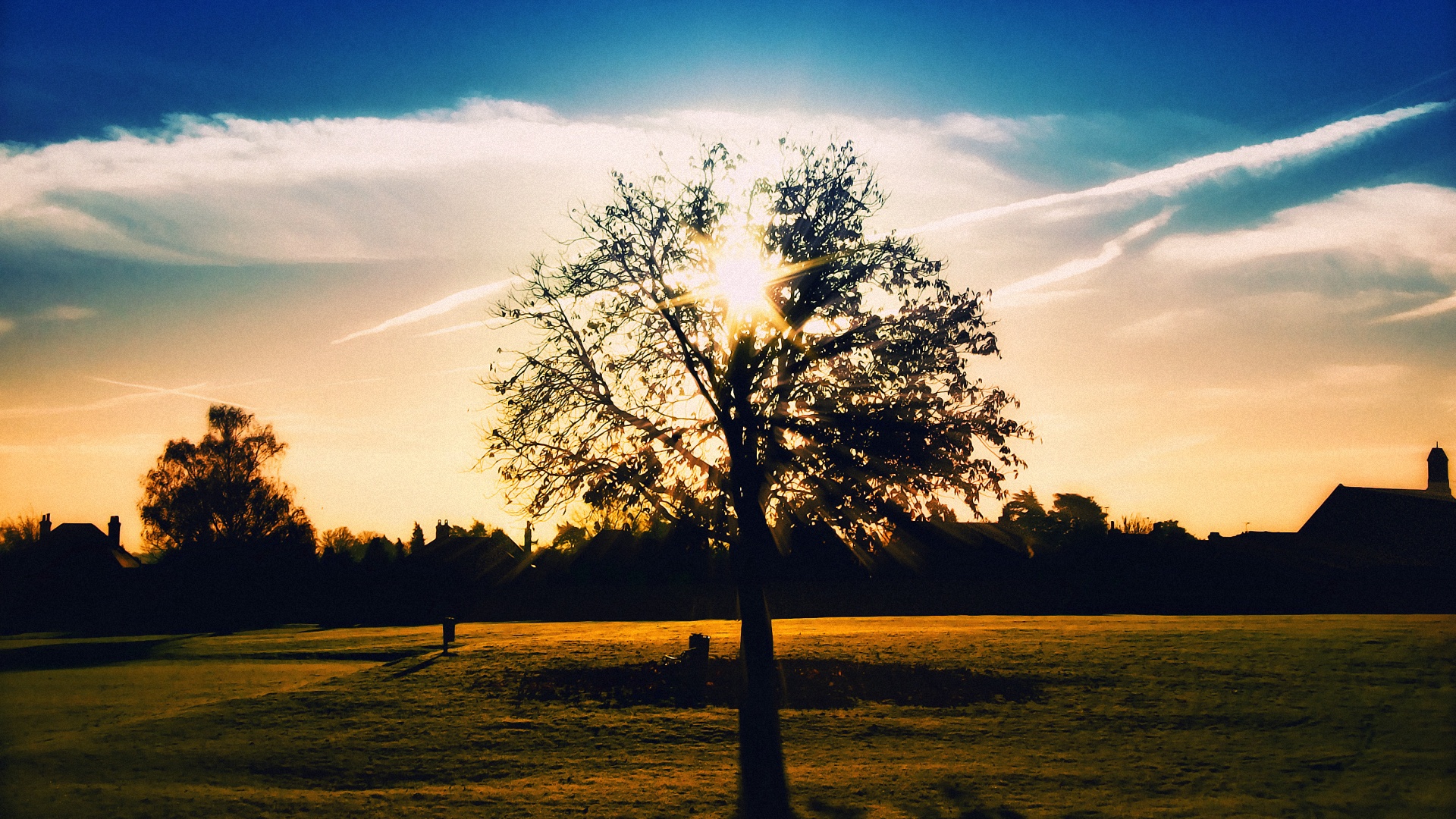 Wallpaper Tree Silhouette Of A Summer Afternoon - Tree - HD Wallpaper 