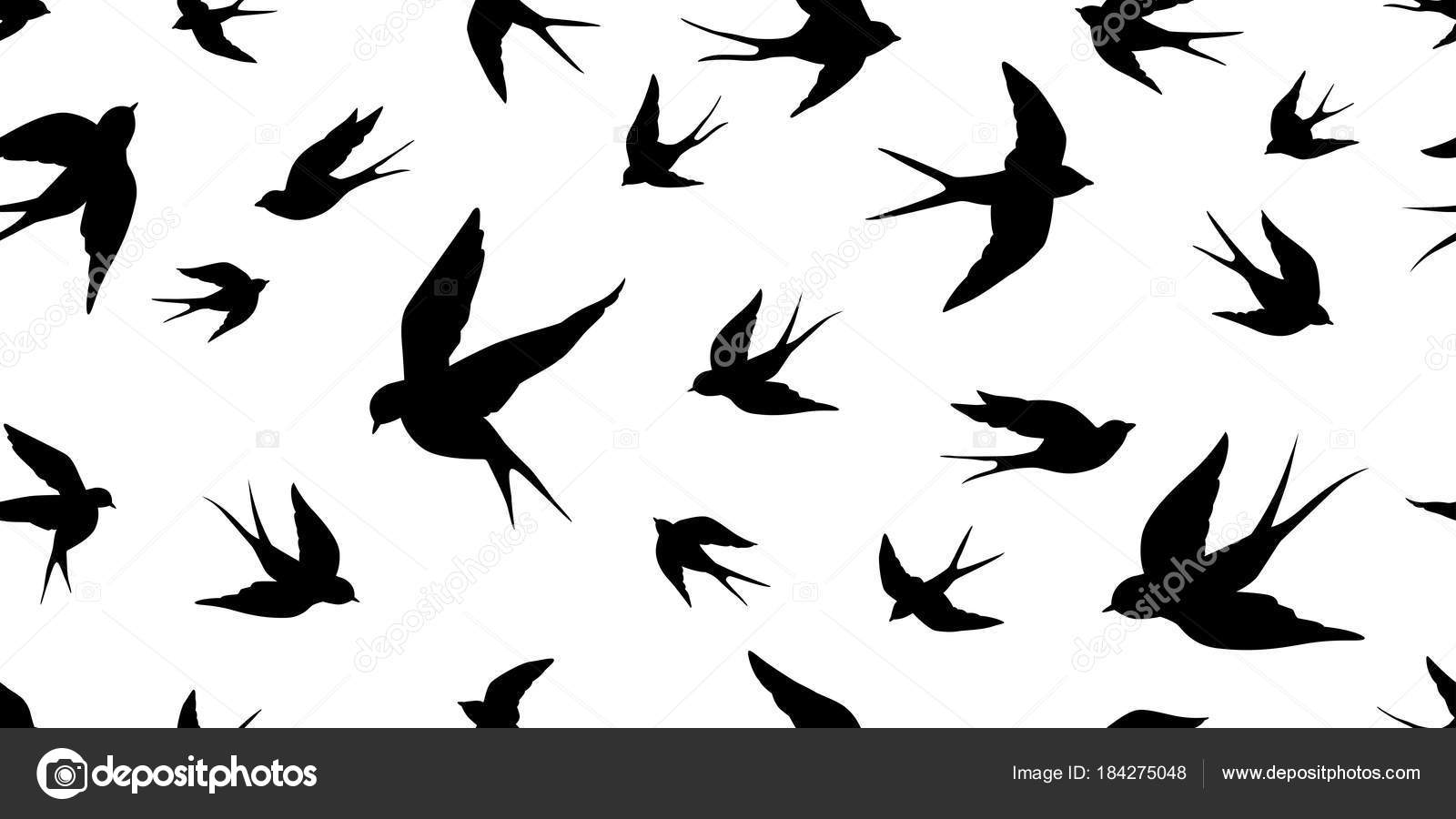 Palomas Fondo De Pantalla - HD Wallpaper 