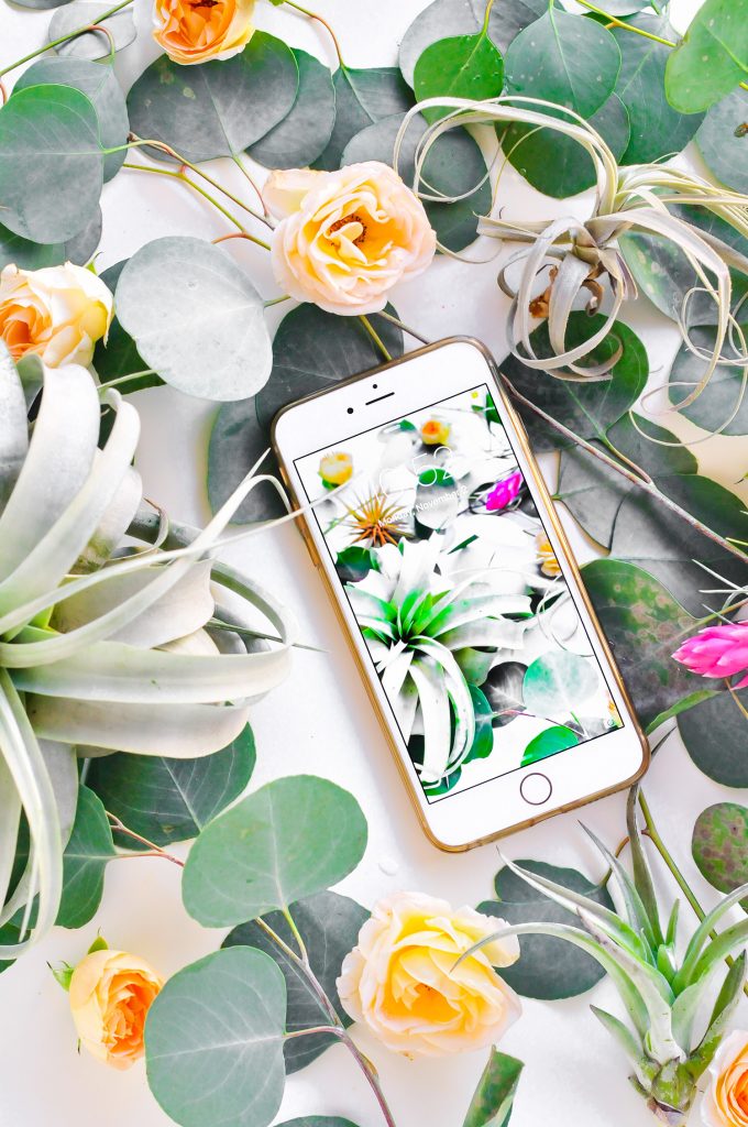 Arizona Green Tea Wallpaper Pic Hwb440525 - Artificial Flower - HD Wallpaper 