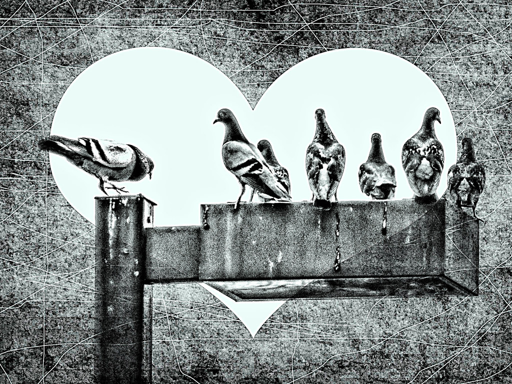 Monochrome - HD Wallpaper 