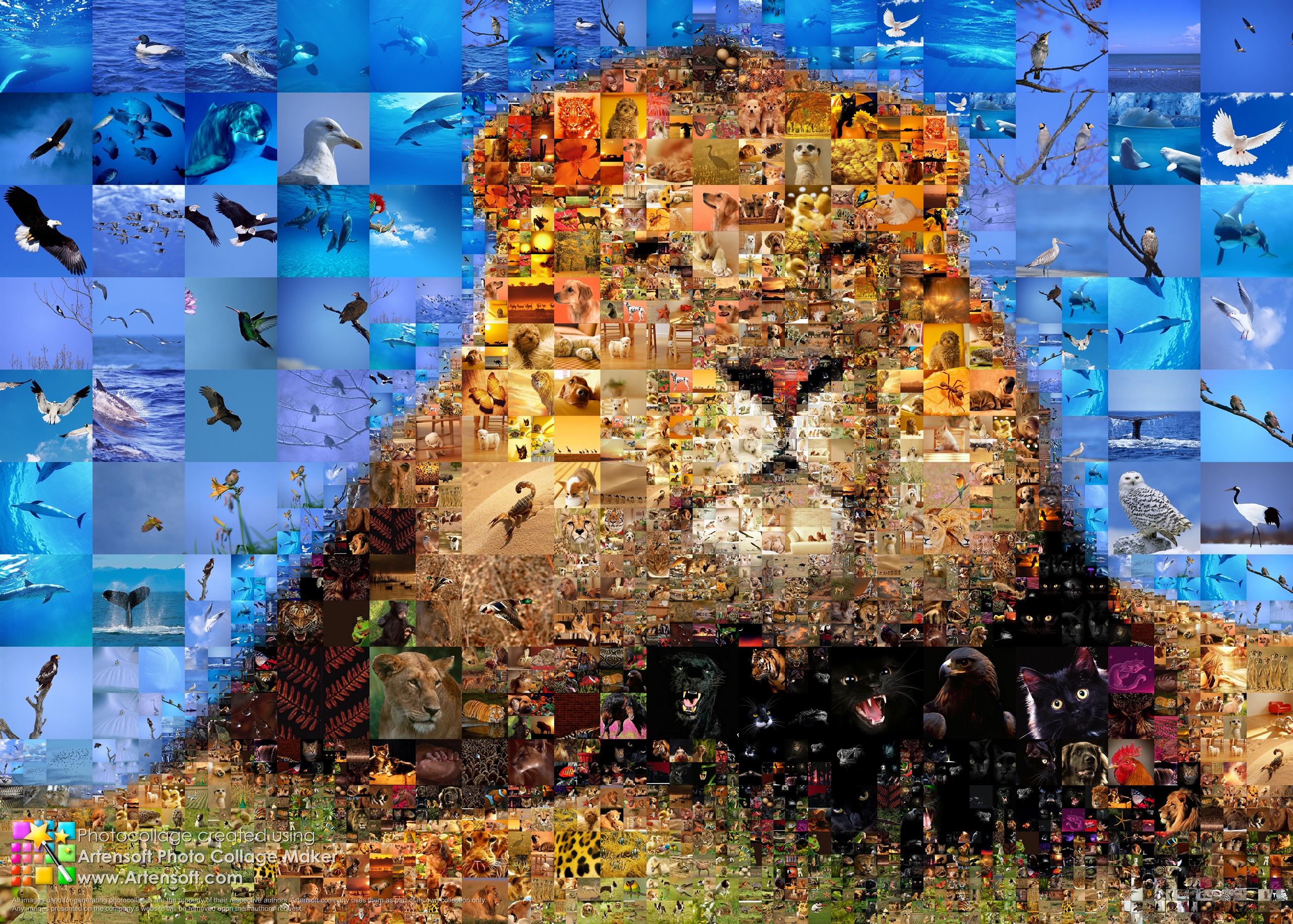 Photo Collage Maker For Wallpapers - 2560x1829 Wallpaper Photo Collage Maker For Wallpapers - 2560x1829 Wallpaper