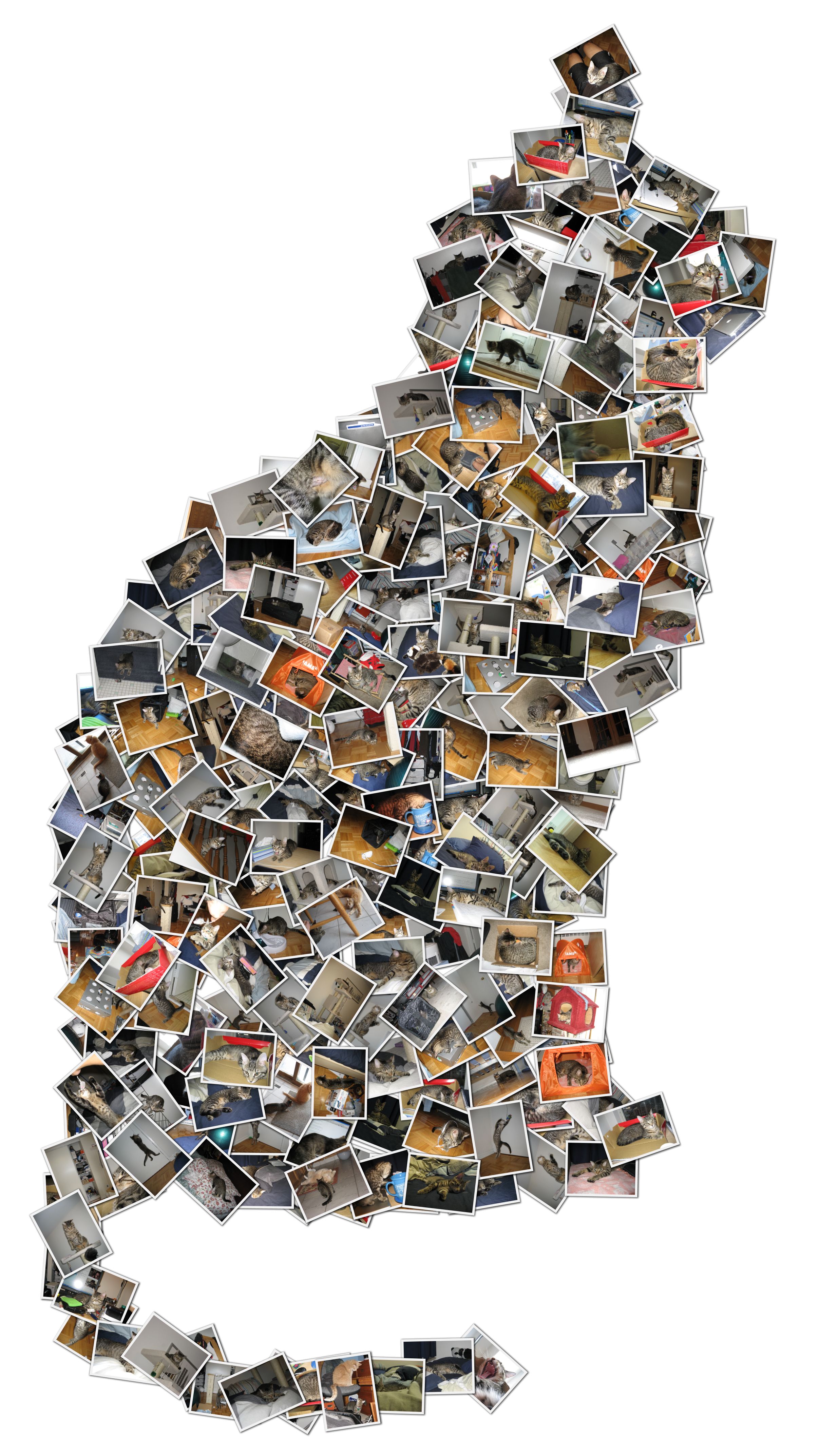 different-collage-2414x4293-wallpaper-teahub-io