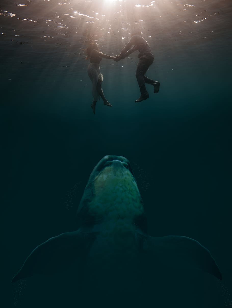 Couple Underwater Shot, Photo Montage, Surreal, Fantasy - Scary Pictures Of Water - HD Wallpaper 