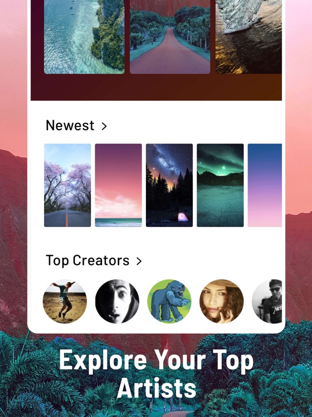 Wallpaper - HD Wallpaper 