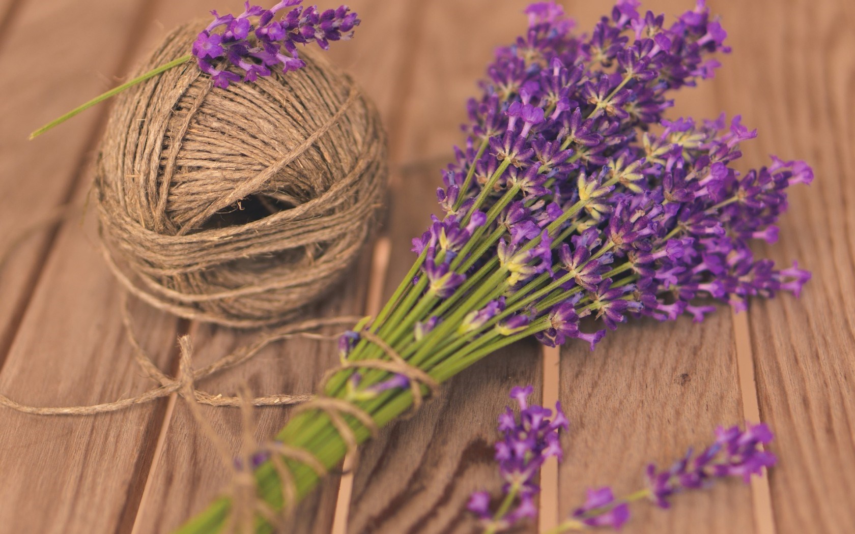 Mood Flowers Lavender Purple - HD Wallpaper 