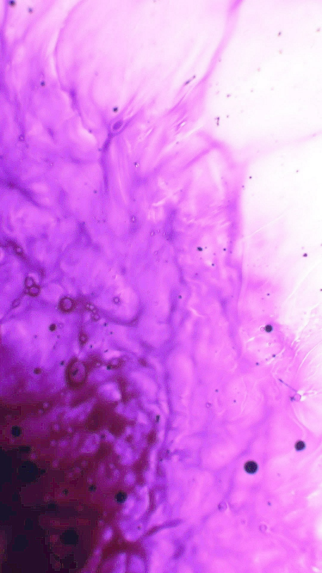 Hd Iphone Wallpaper Purple Resolution - Close-up - HD Wallpaper 